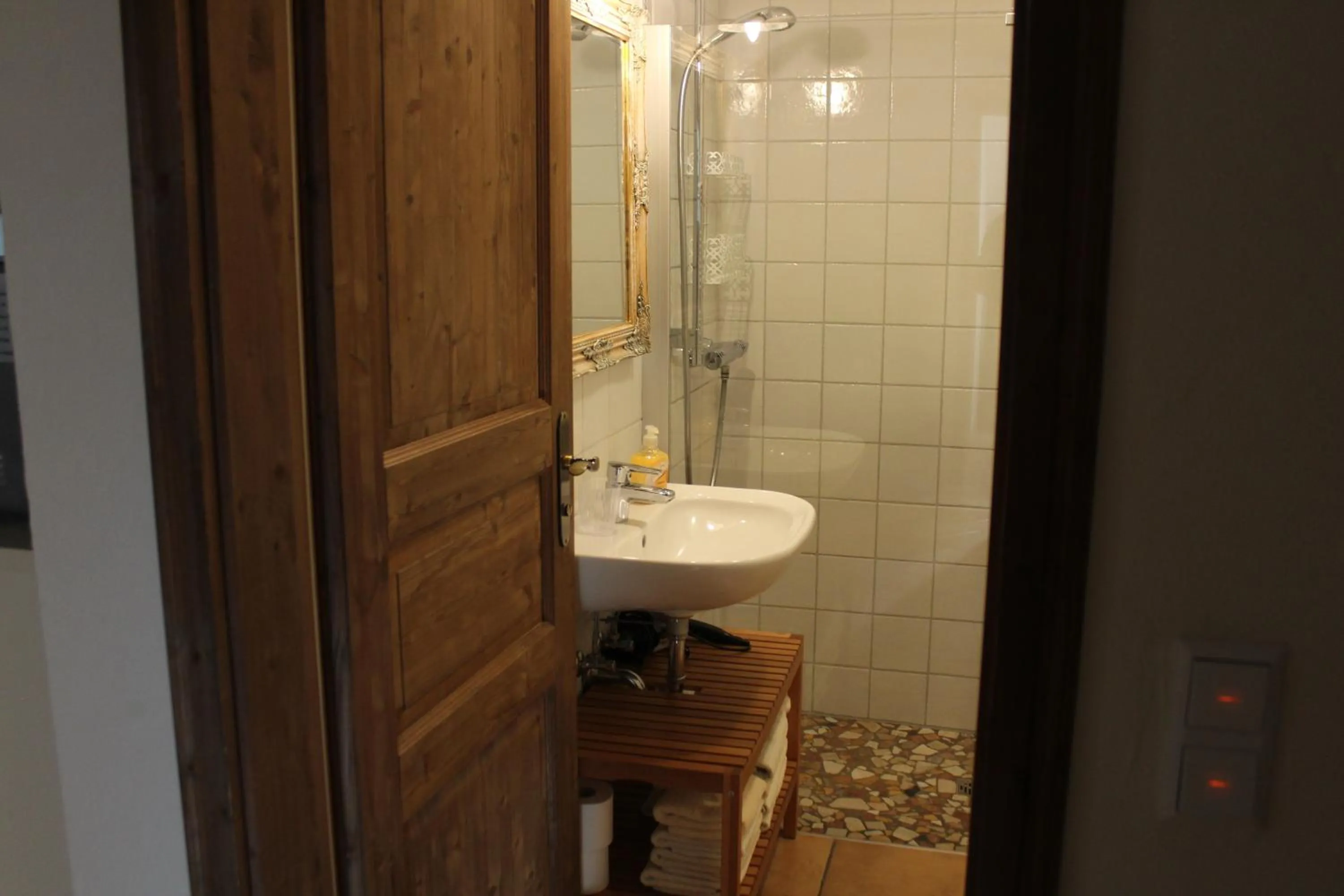 Shower in Pension Vanii, Apartments