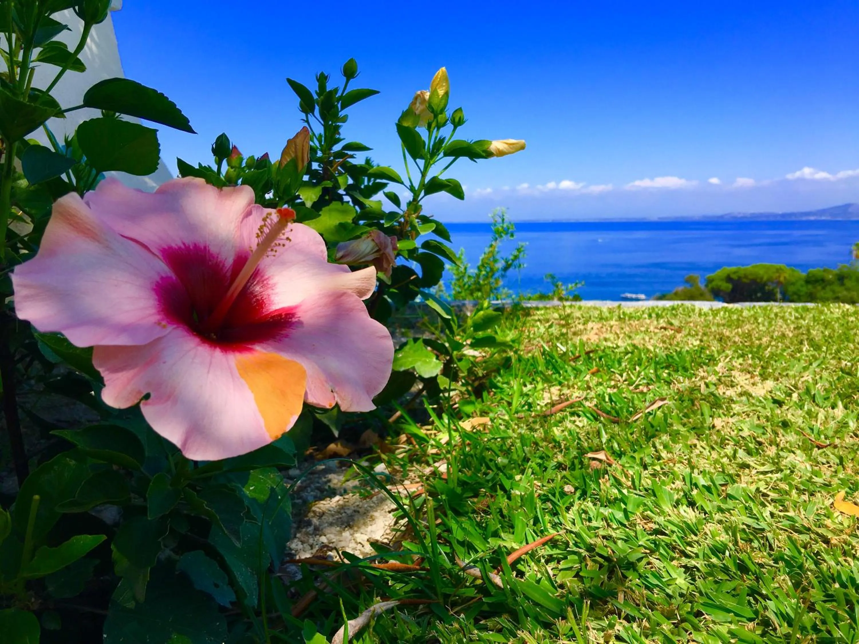 Agapanto Luxury Accommodation