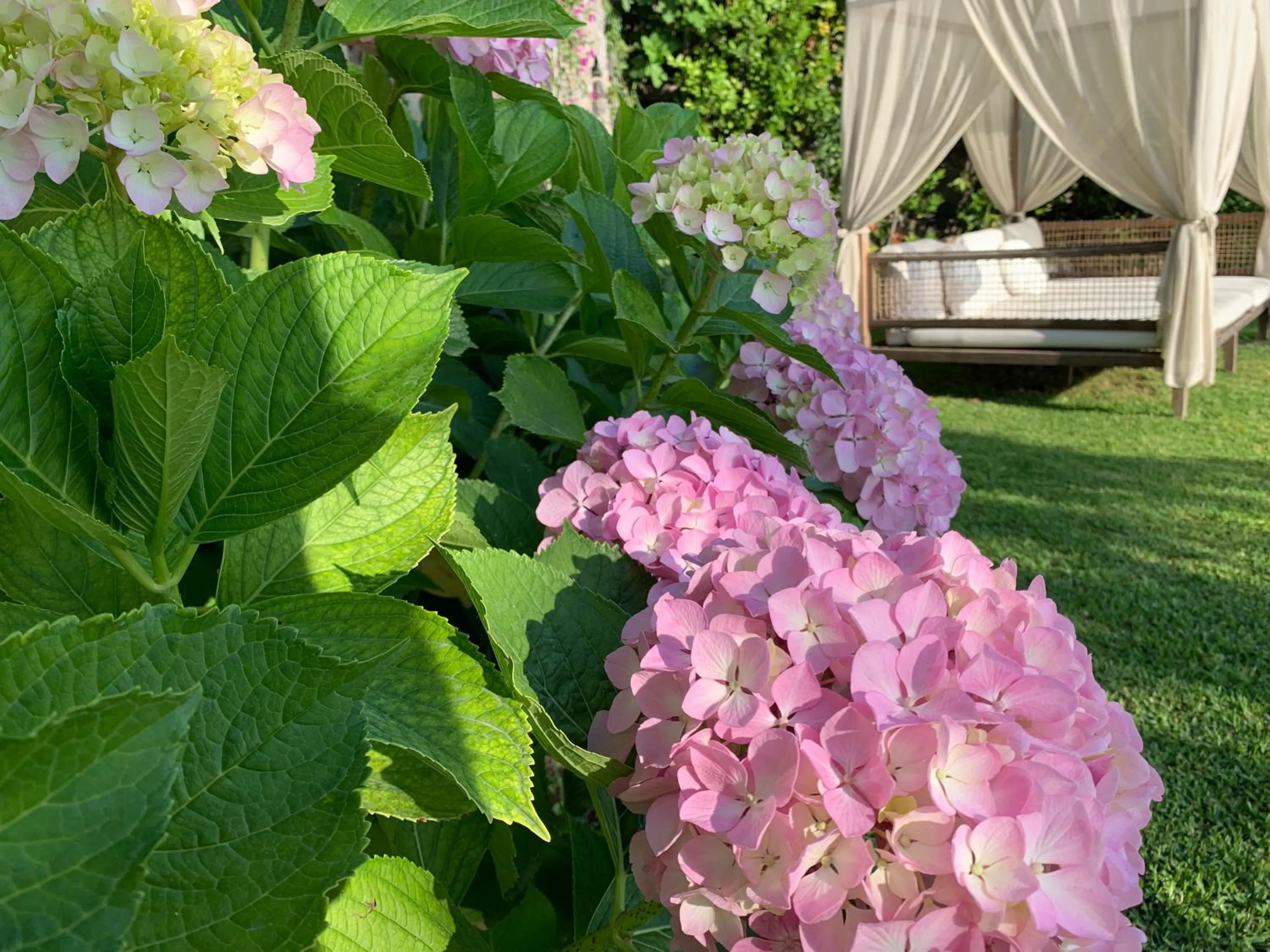 Garden in Agapanto Luxury Accommodation