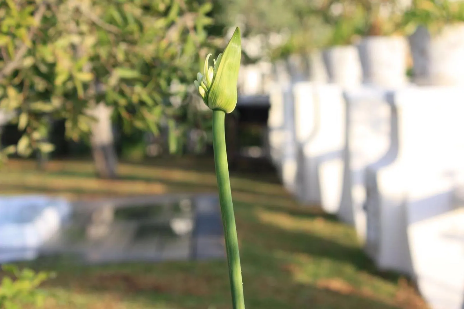 Other in Agapanto Luxury Accommodation