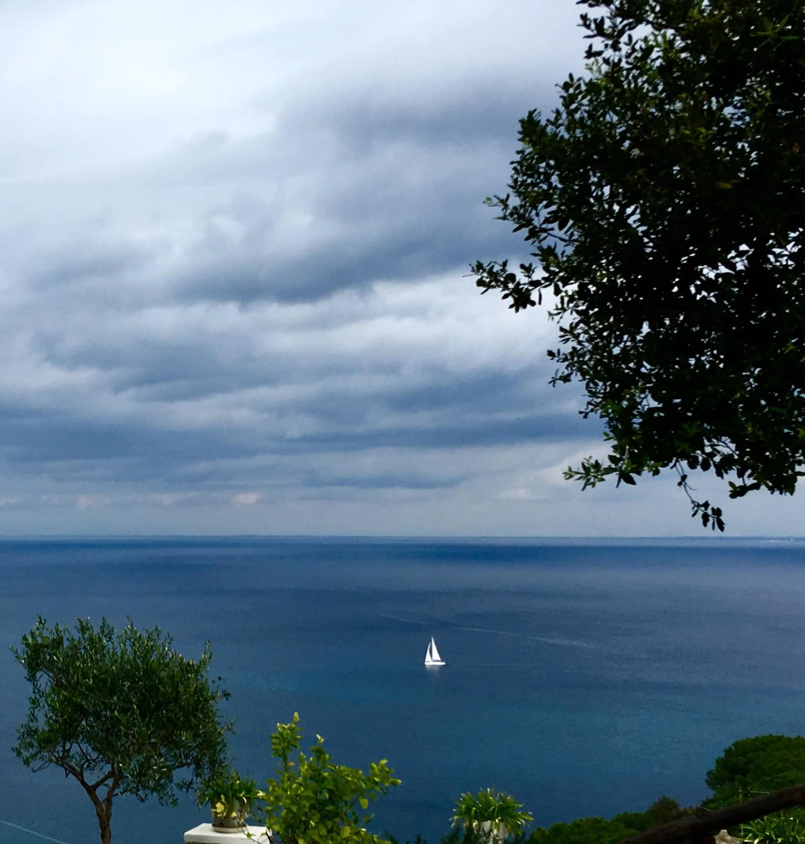 Garden in Agapanto Luxury Accommodation