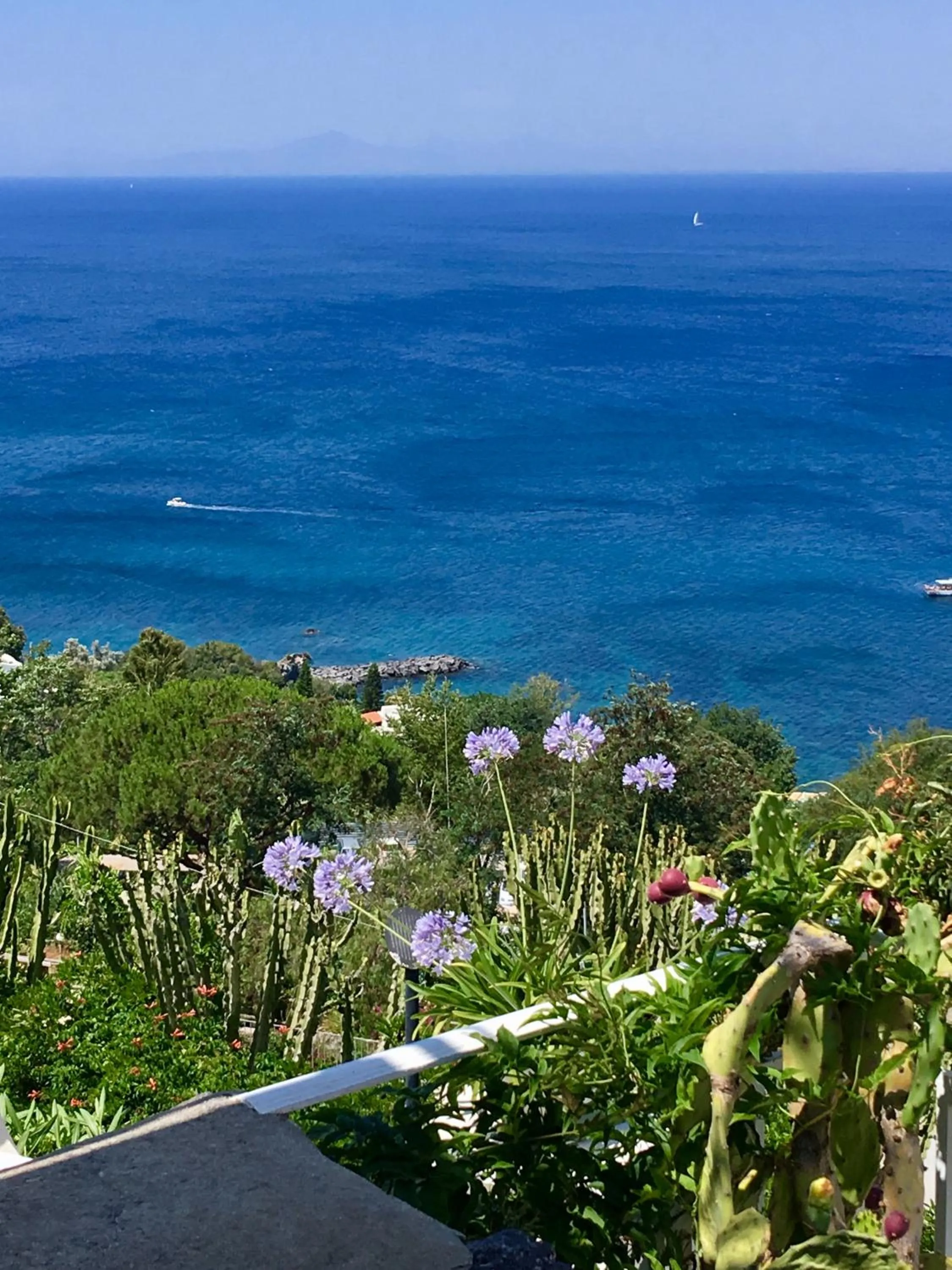 Agapanto Luxury Accommodation