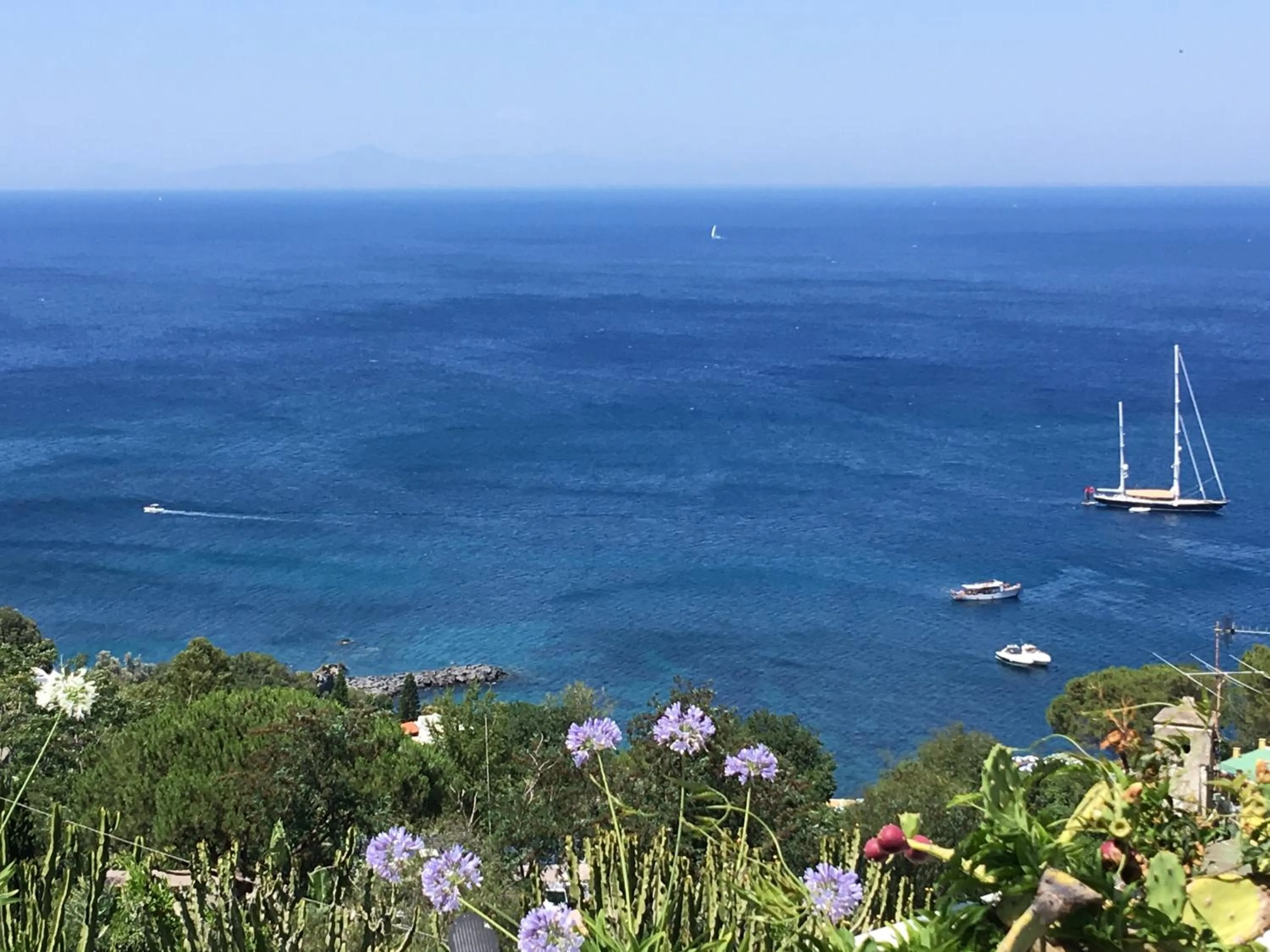 Agapanto Luxury Accommodation