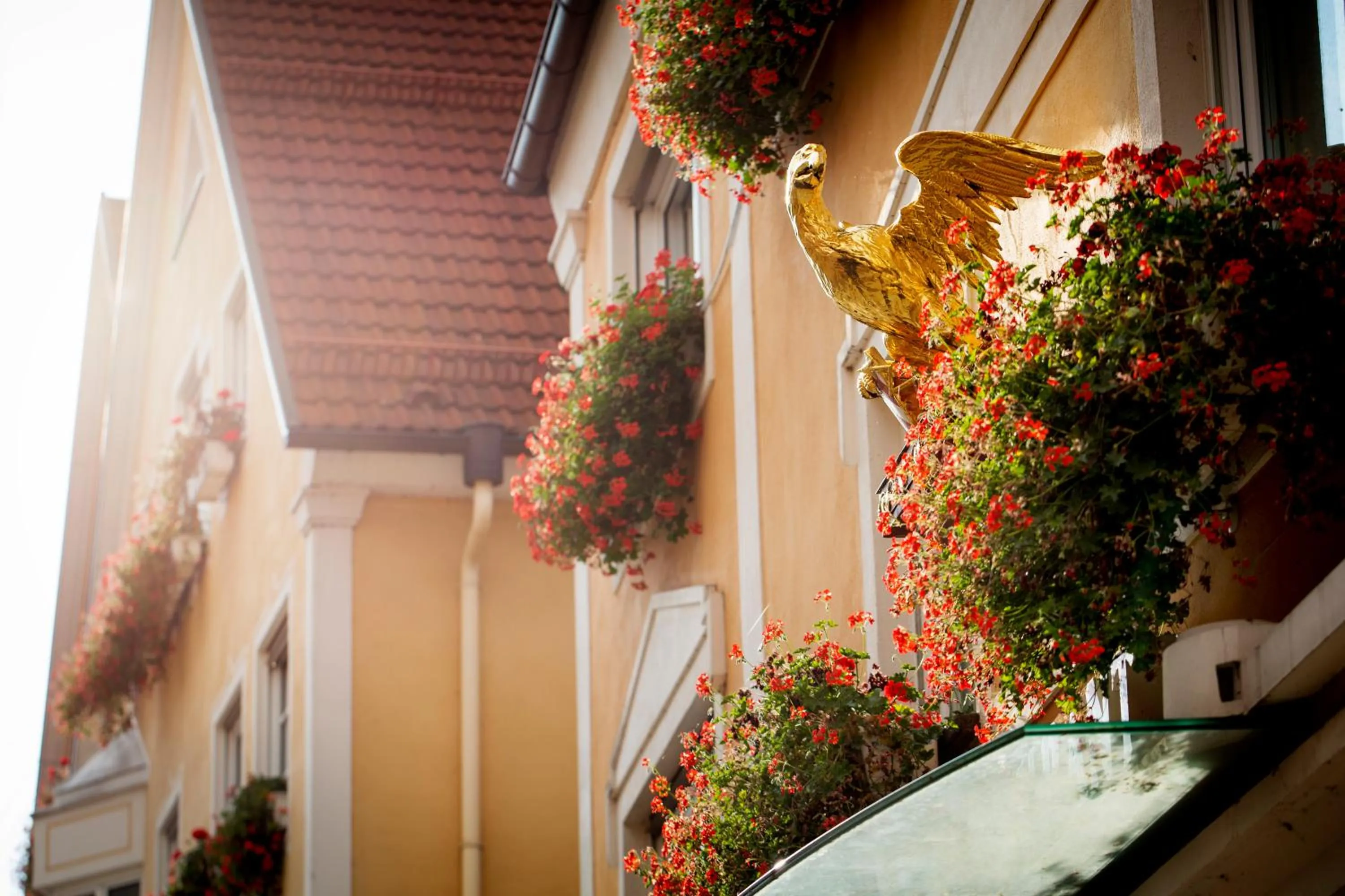 Facade/entrance in Hotel Adler - Paulas Alb