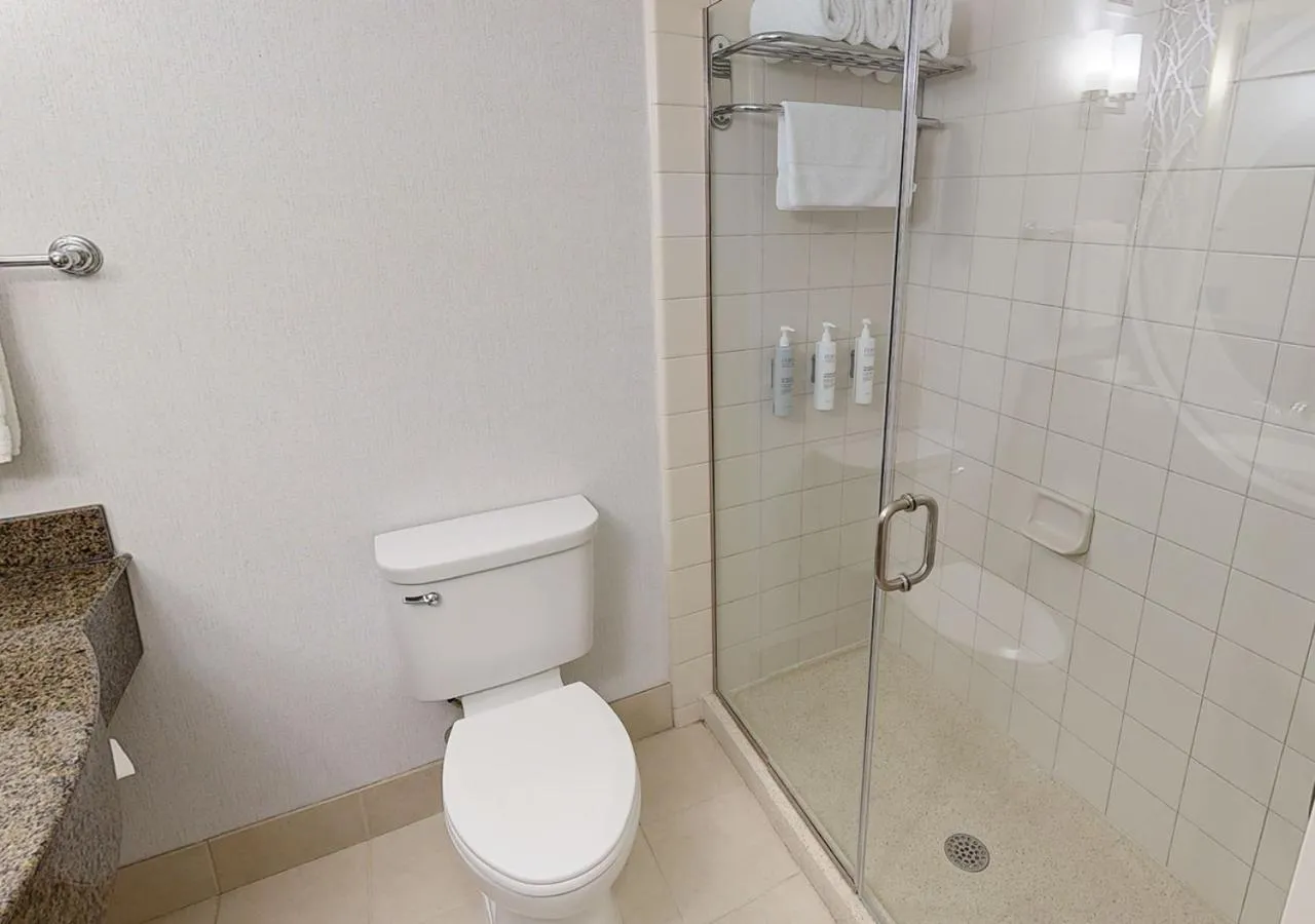 Bathroom in Hilton Garden Inn Detroit/Novi