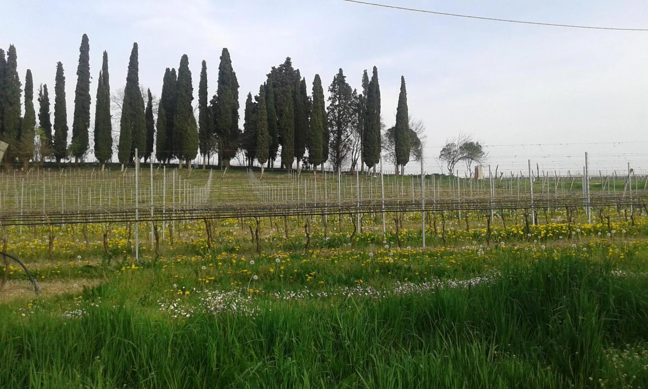 Natural landscape in Casa Margherita