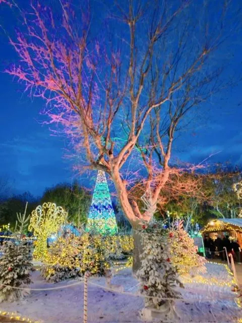 Evening entertainment in Hôtel Paul Riquet