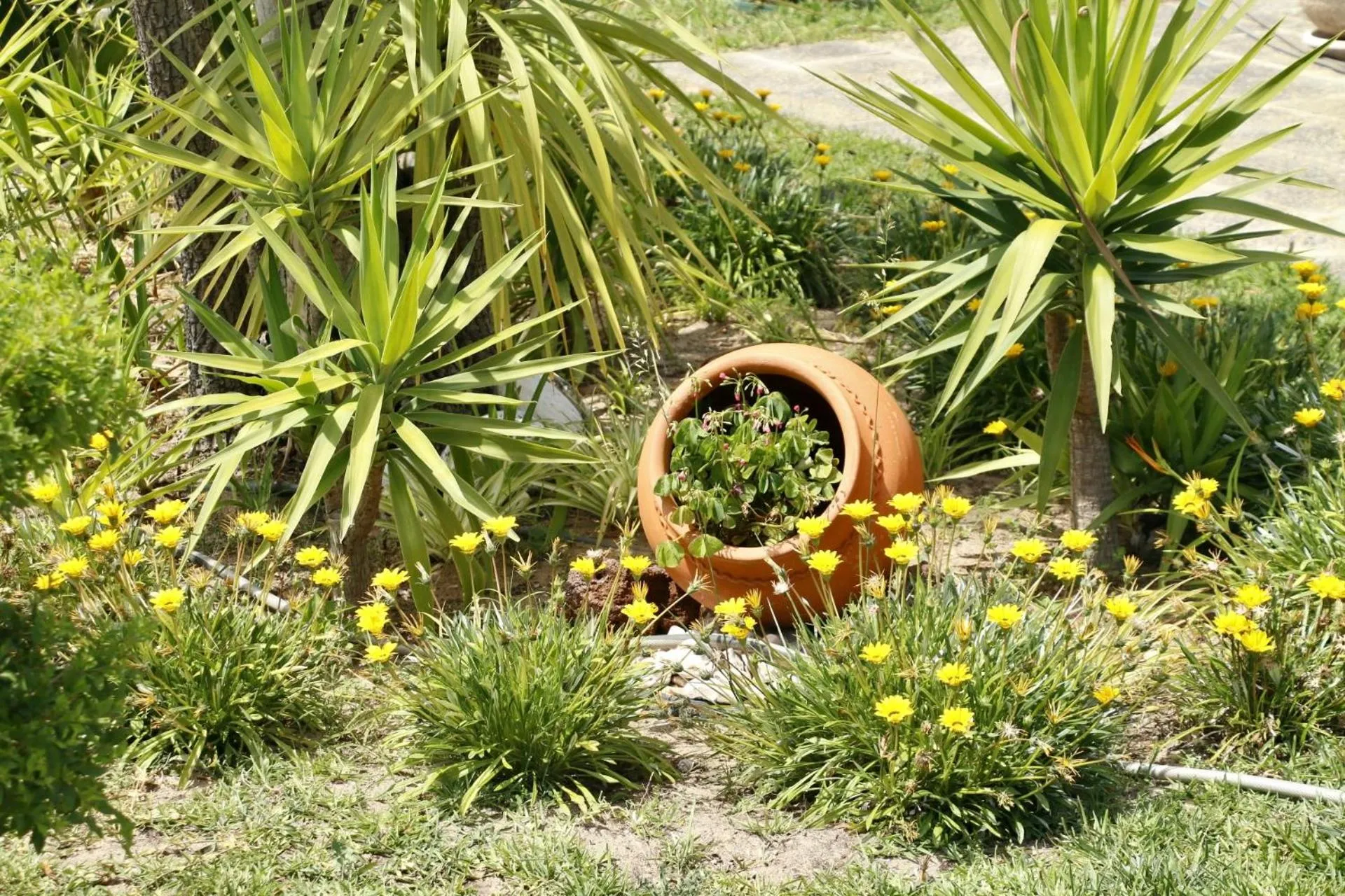 Garden in Casa Teresinha