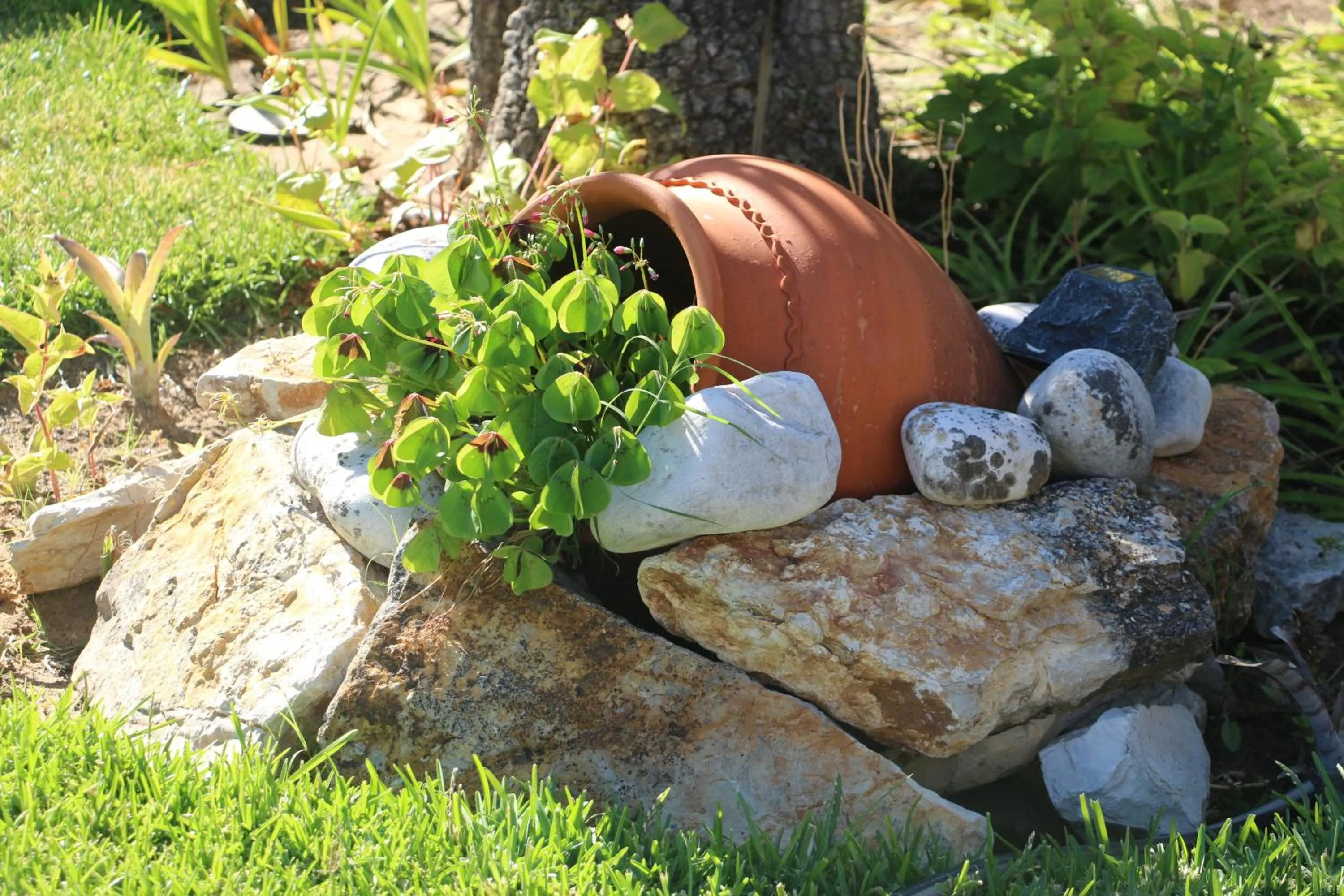 Garden view in Casa Teresinha