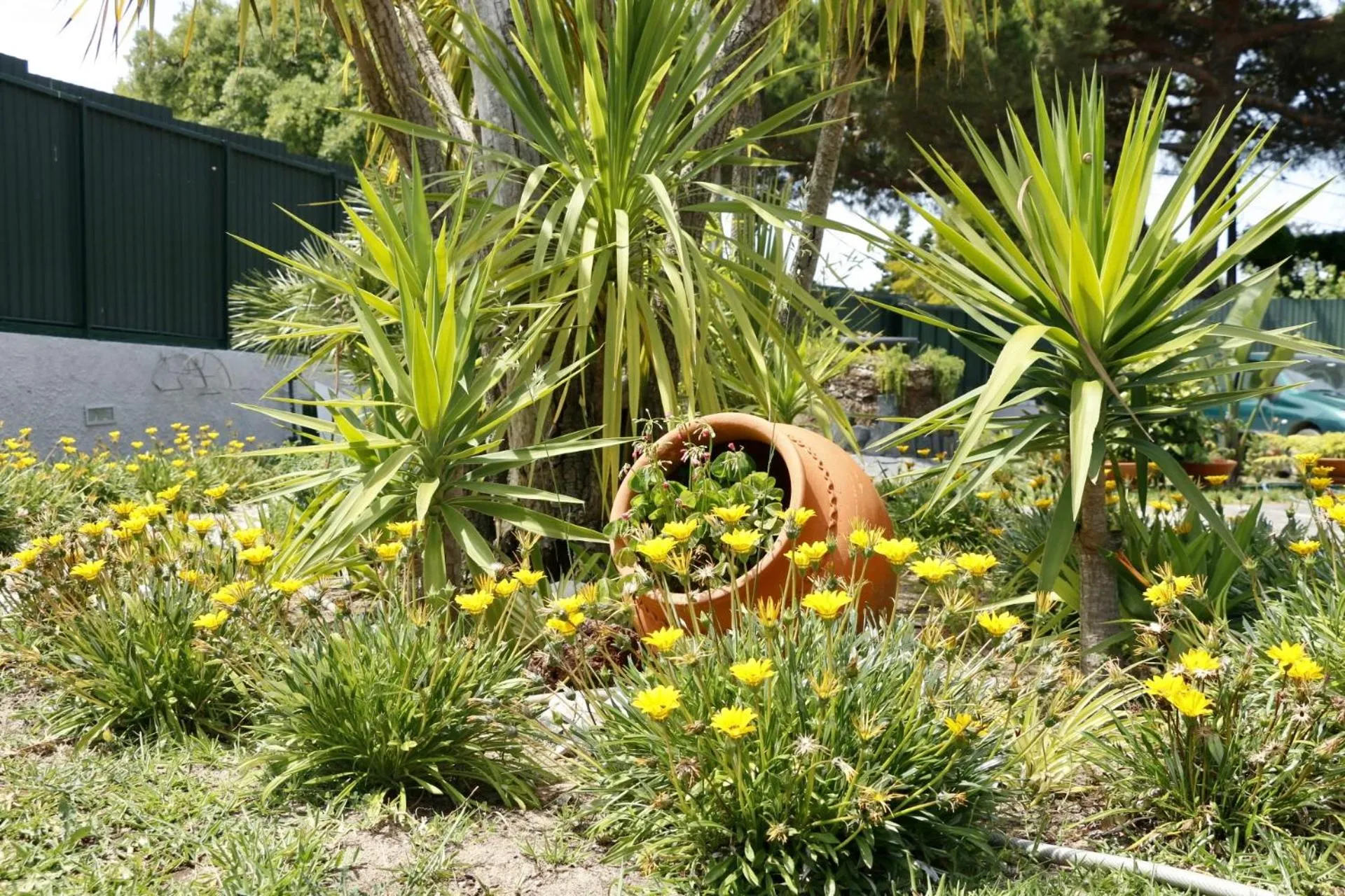 Garden in Casa Teresinha