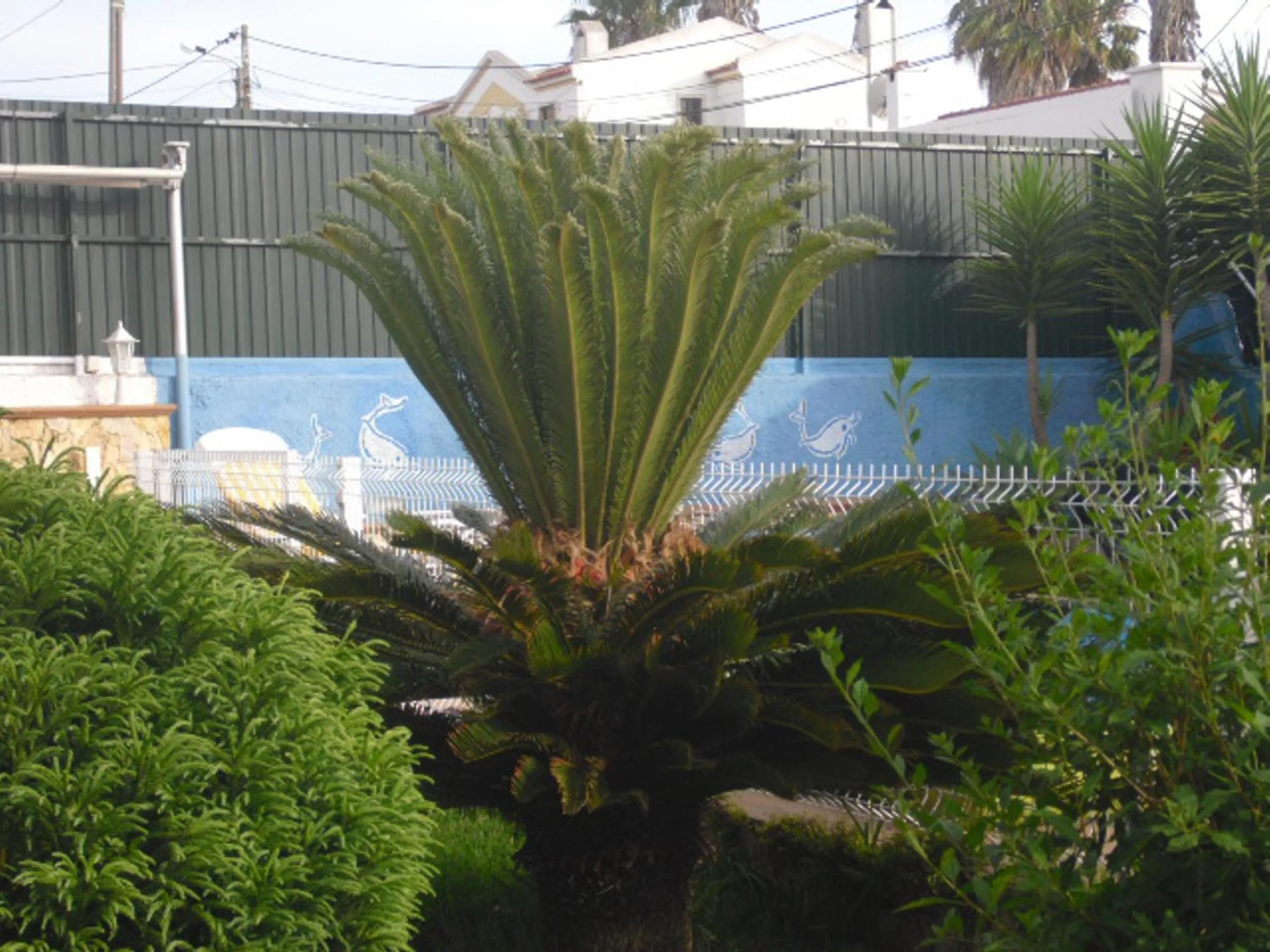 Garden view in Casa Teresinha