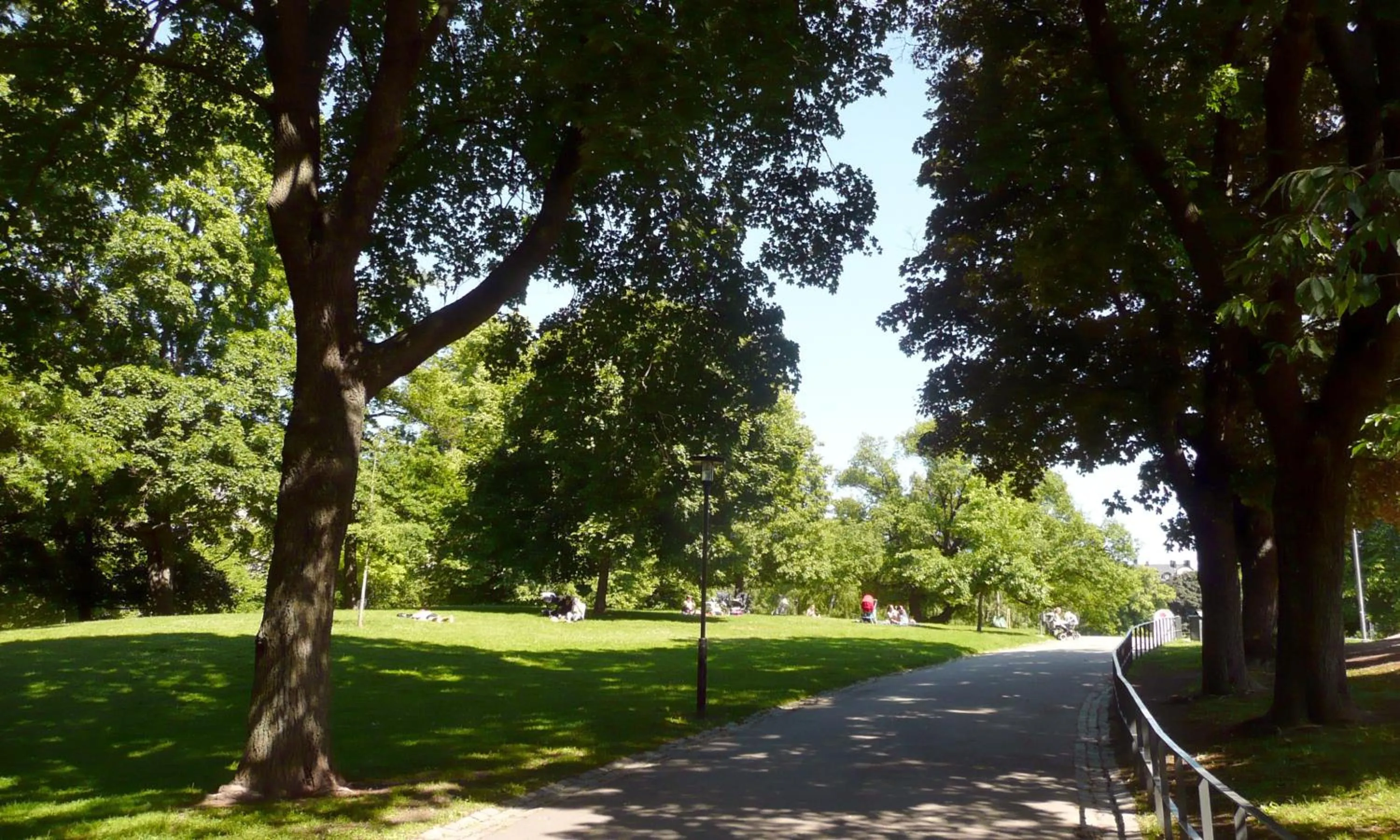 Natural landscape in Wasa Park Hotel