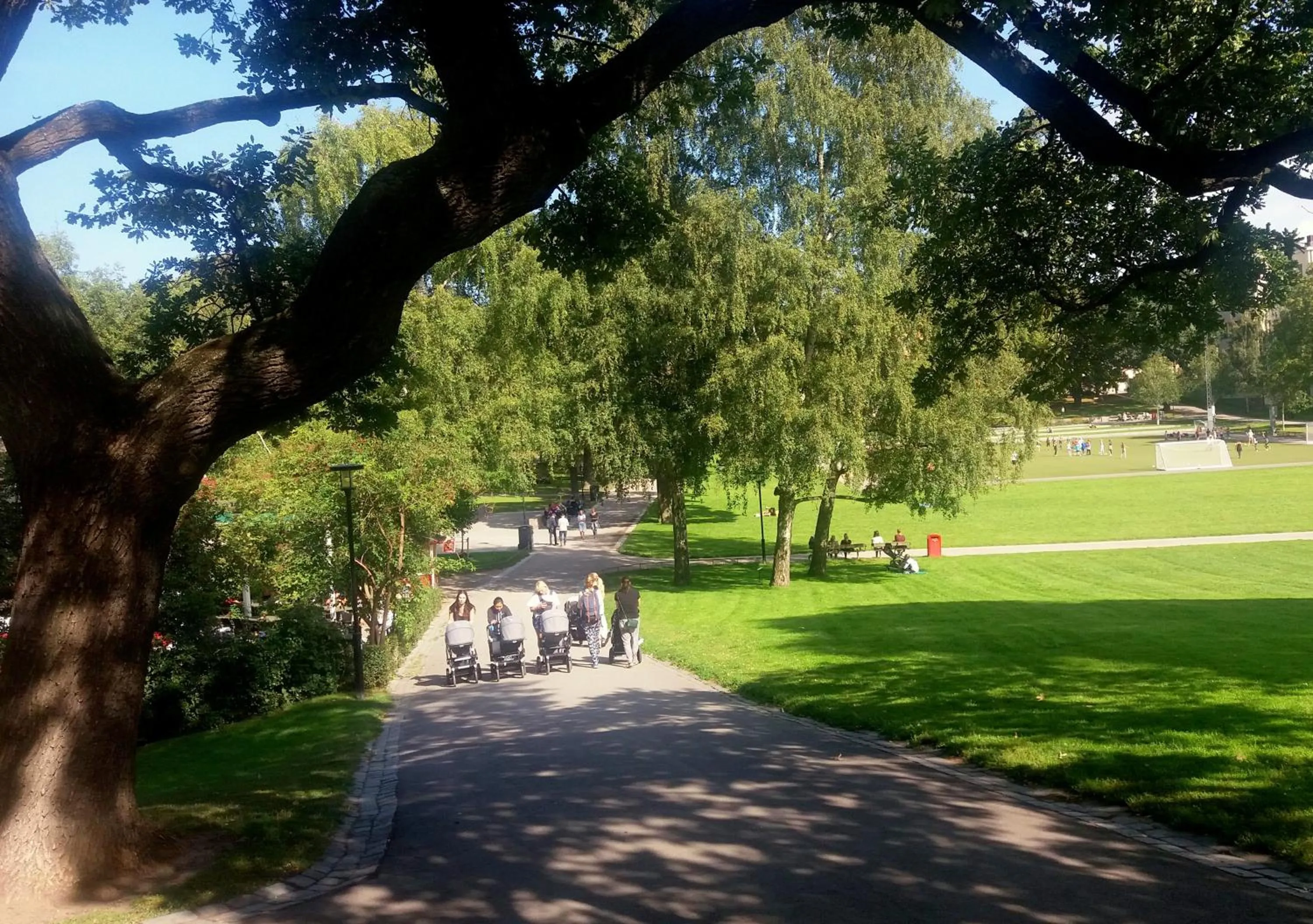 Nearby landmark in Wasa Park Hotel