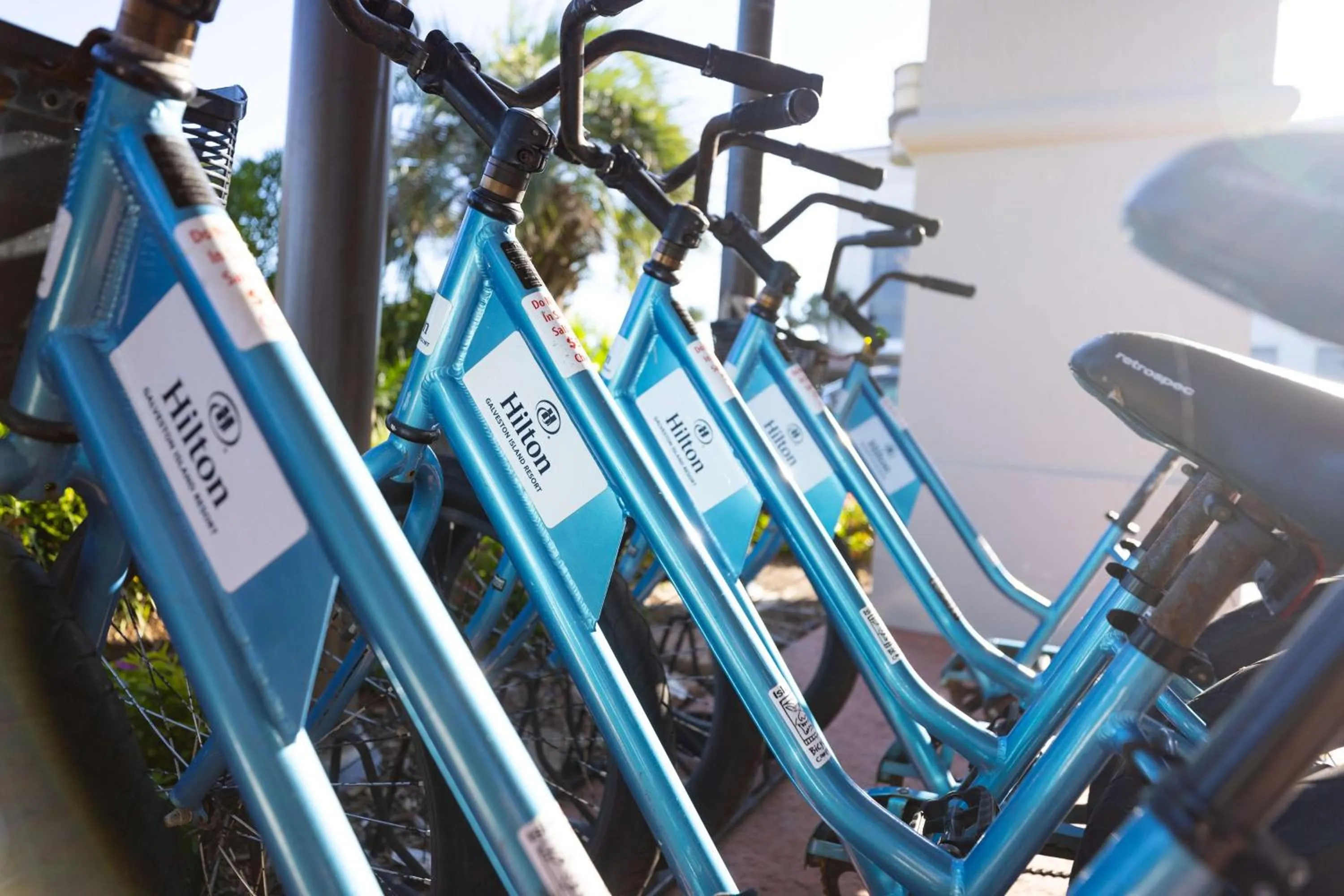 Sports in Hilton Galveston Island Resort