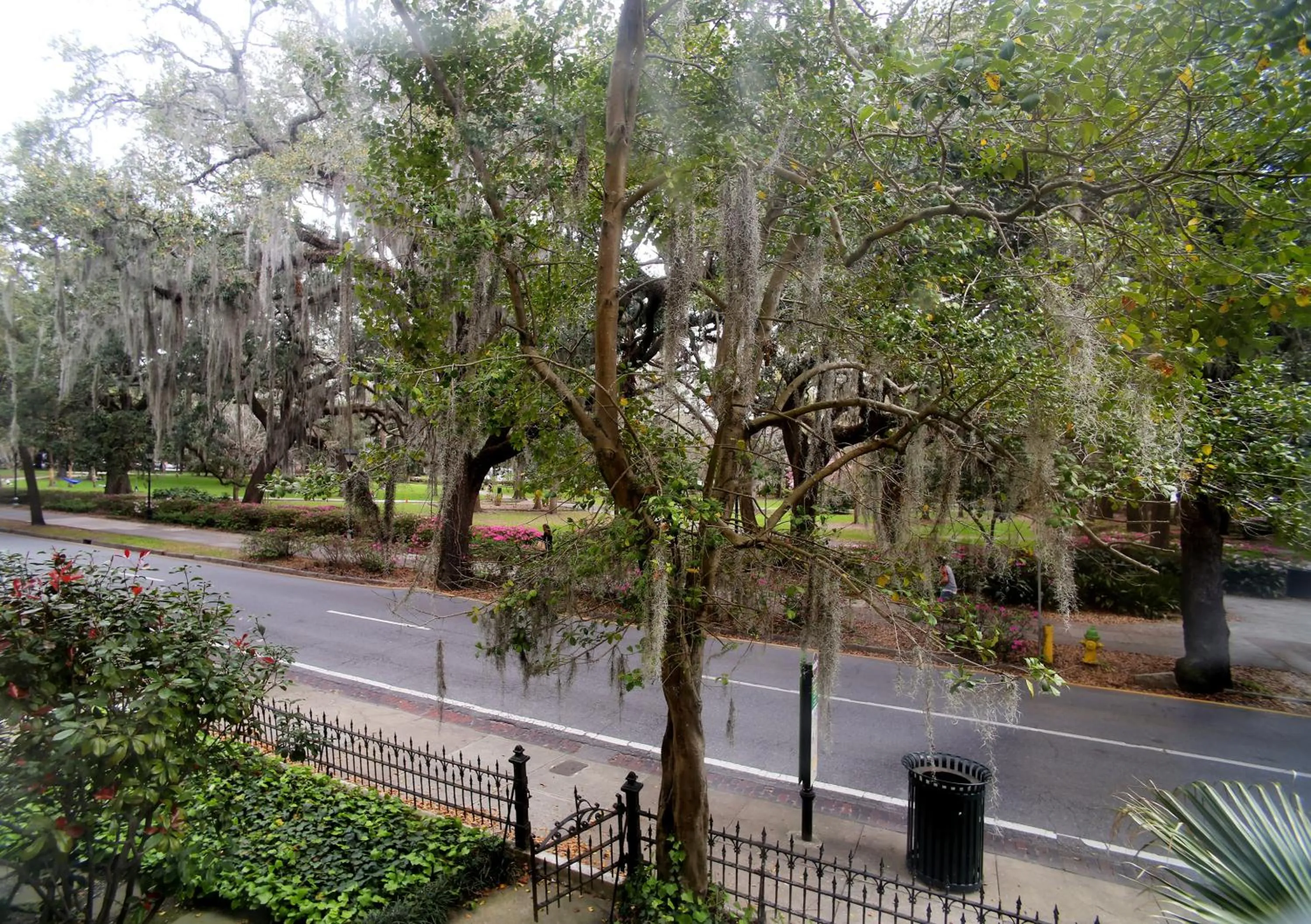 Forsyth Park Inn