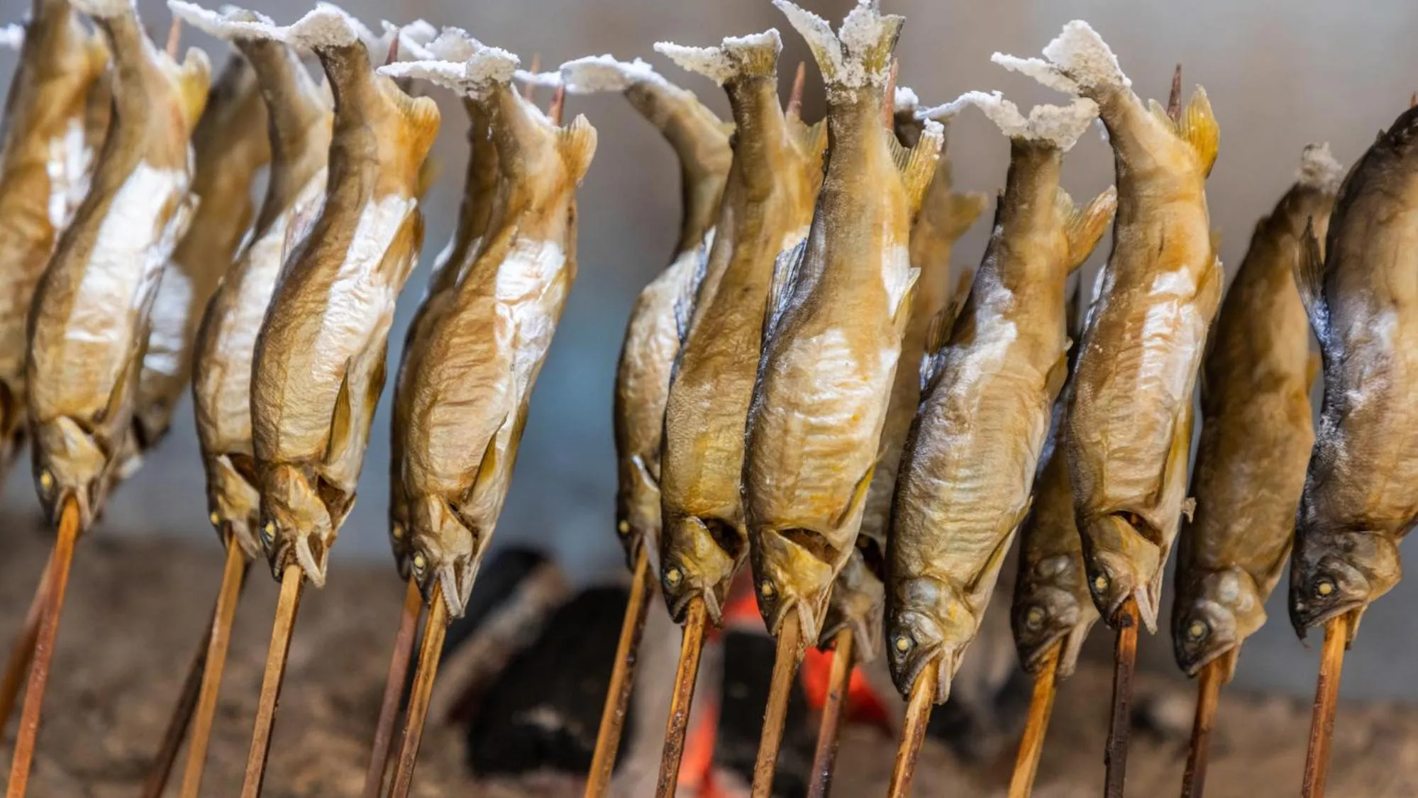 Dinner in Kinugawa Hotel Mikazuki