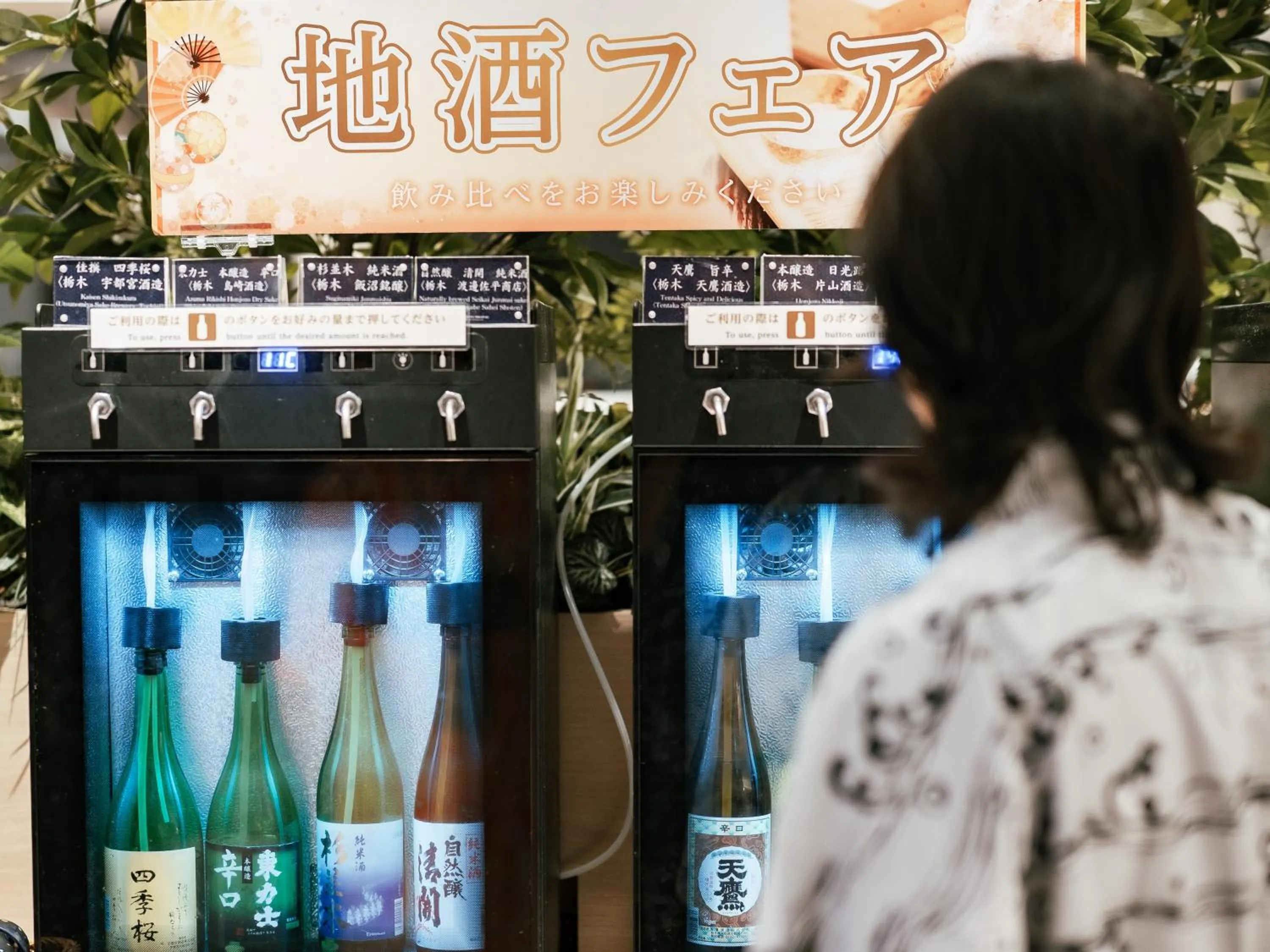 Dinner in Kinugawa Hotel Mikazuki