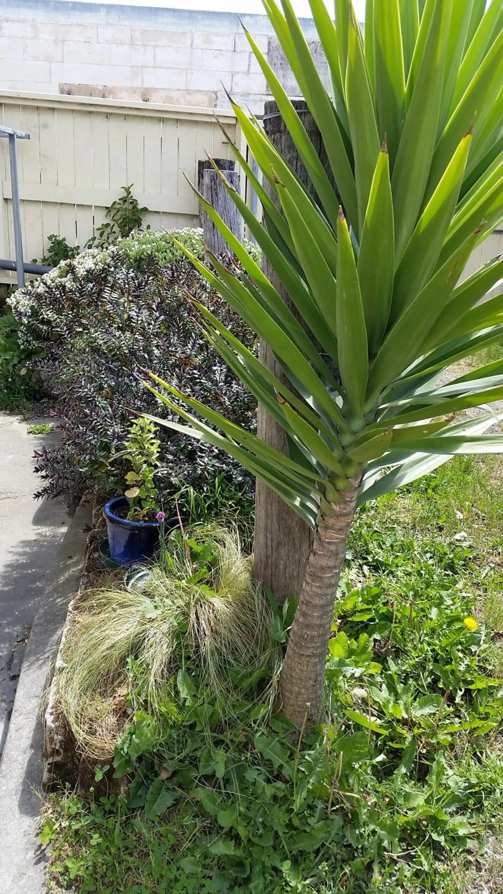 Empire Hotel Backpackers