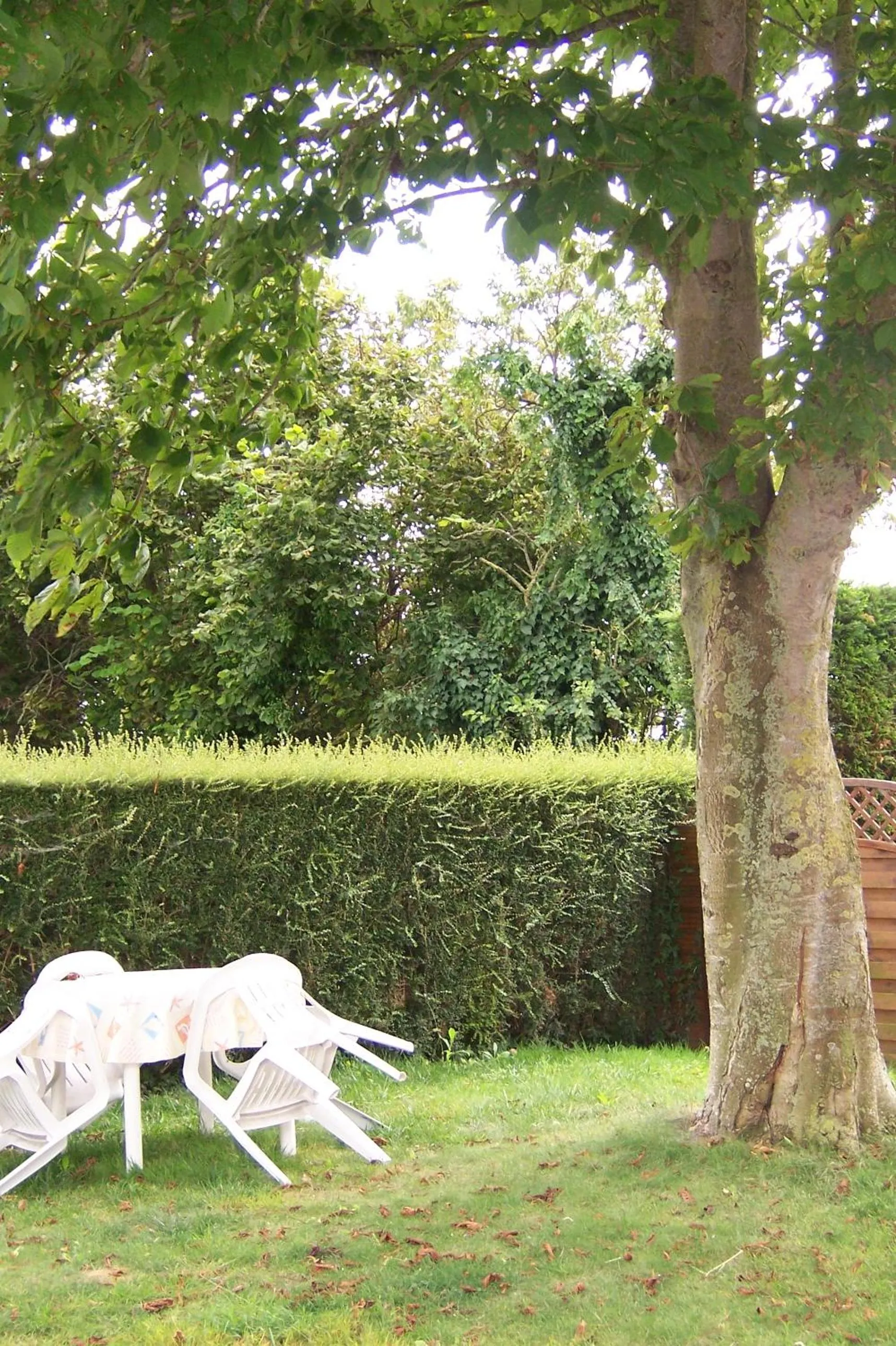 Garden view in Ferme de la Ruette
