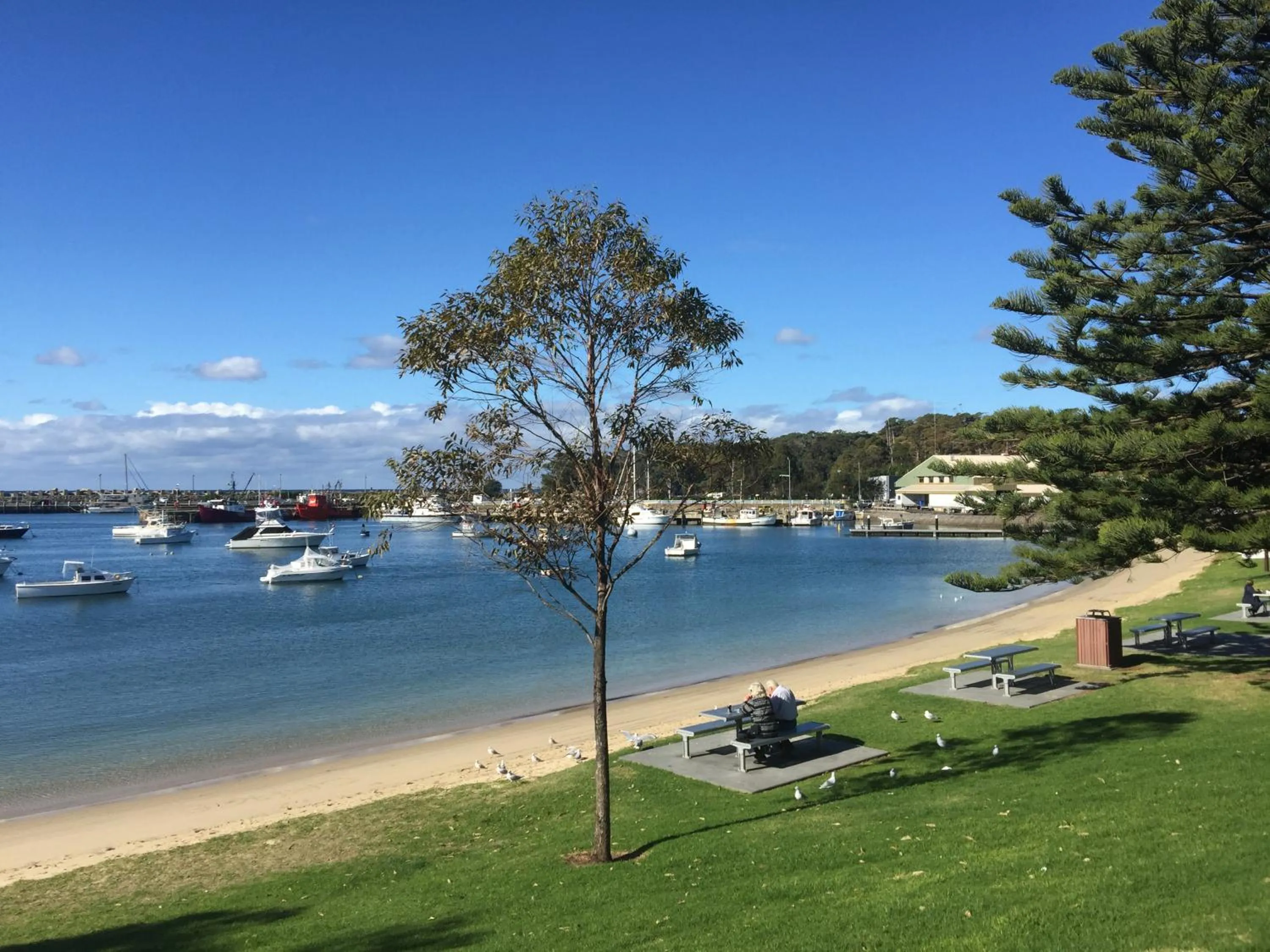 Natural landscape in Ulladulla Harbour Motel