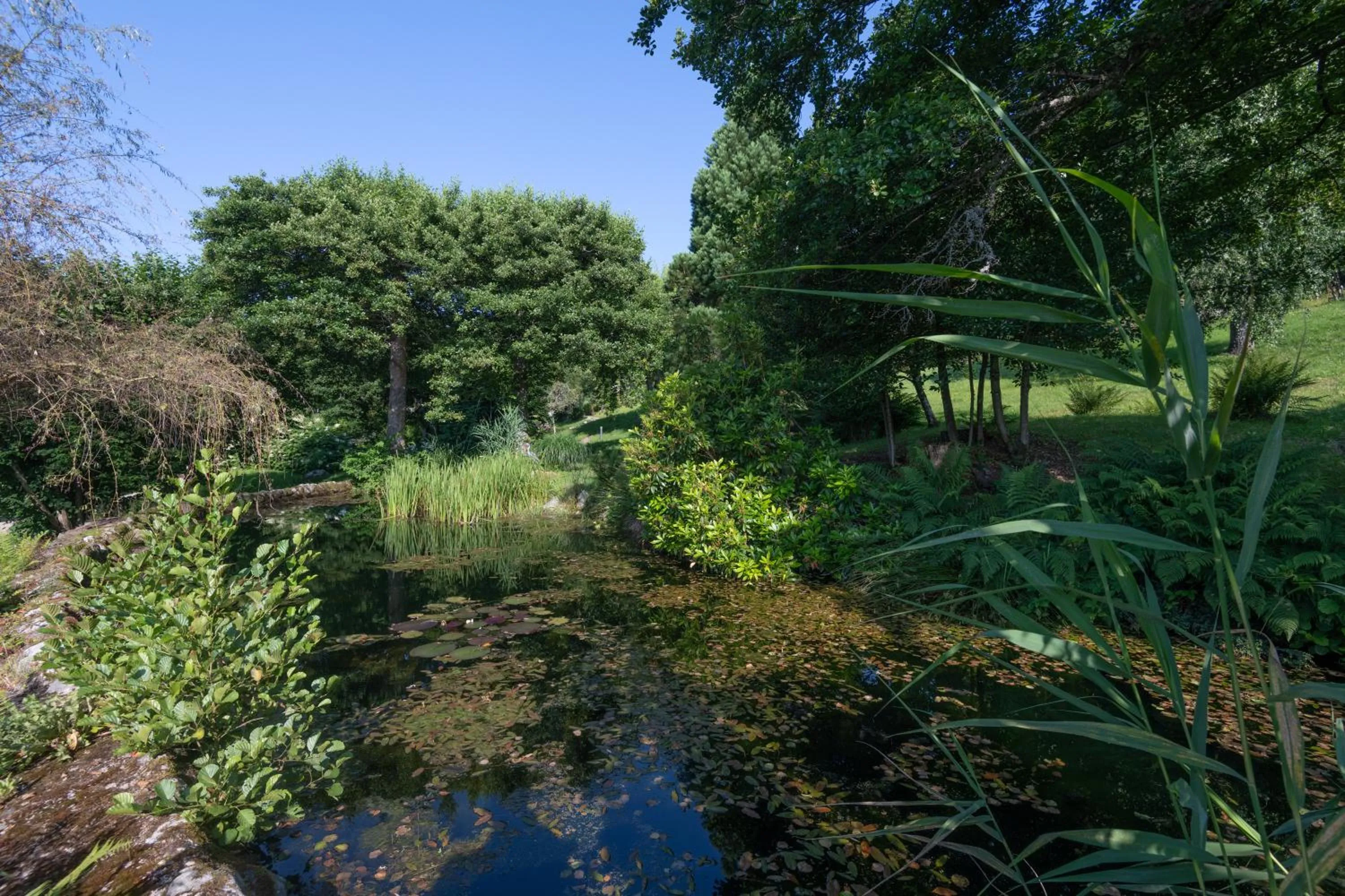 Natural landscape in Le Manoir Au Lac