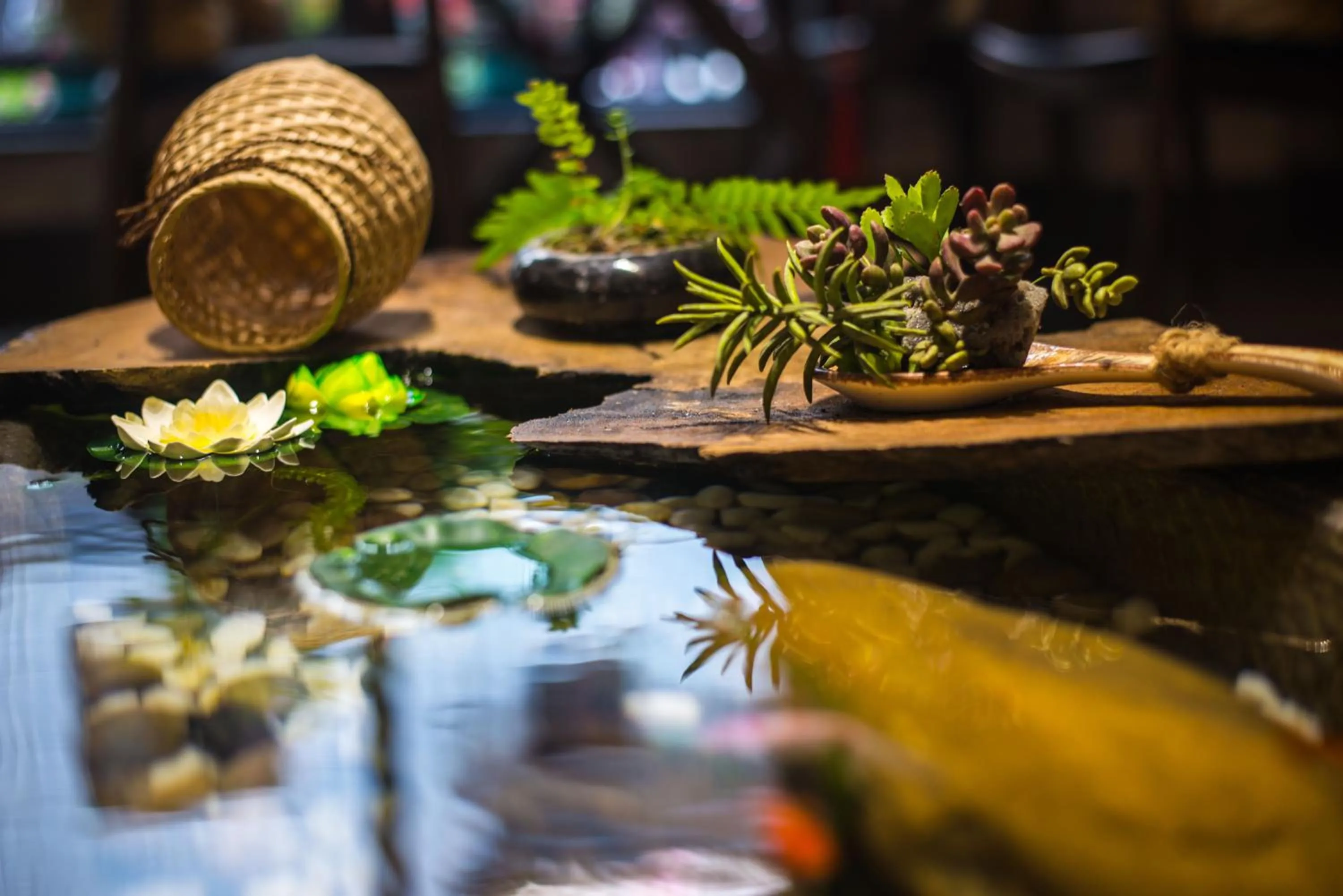 Restaurant/places to eat in Secret Courtyard Resort Hotel