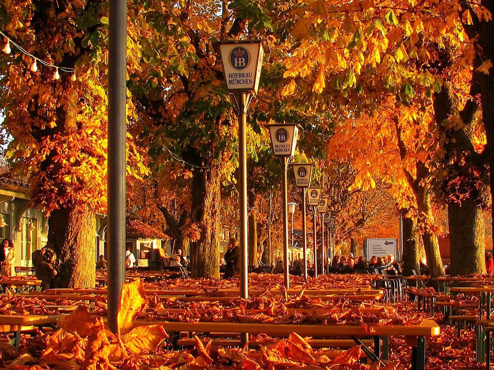 Restaurant/places to eat in Hotel Seehof