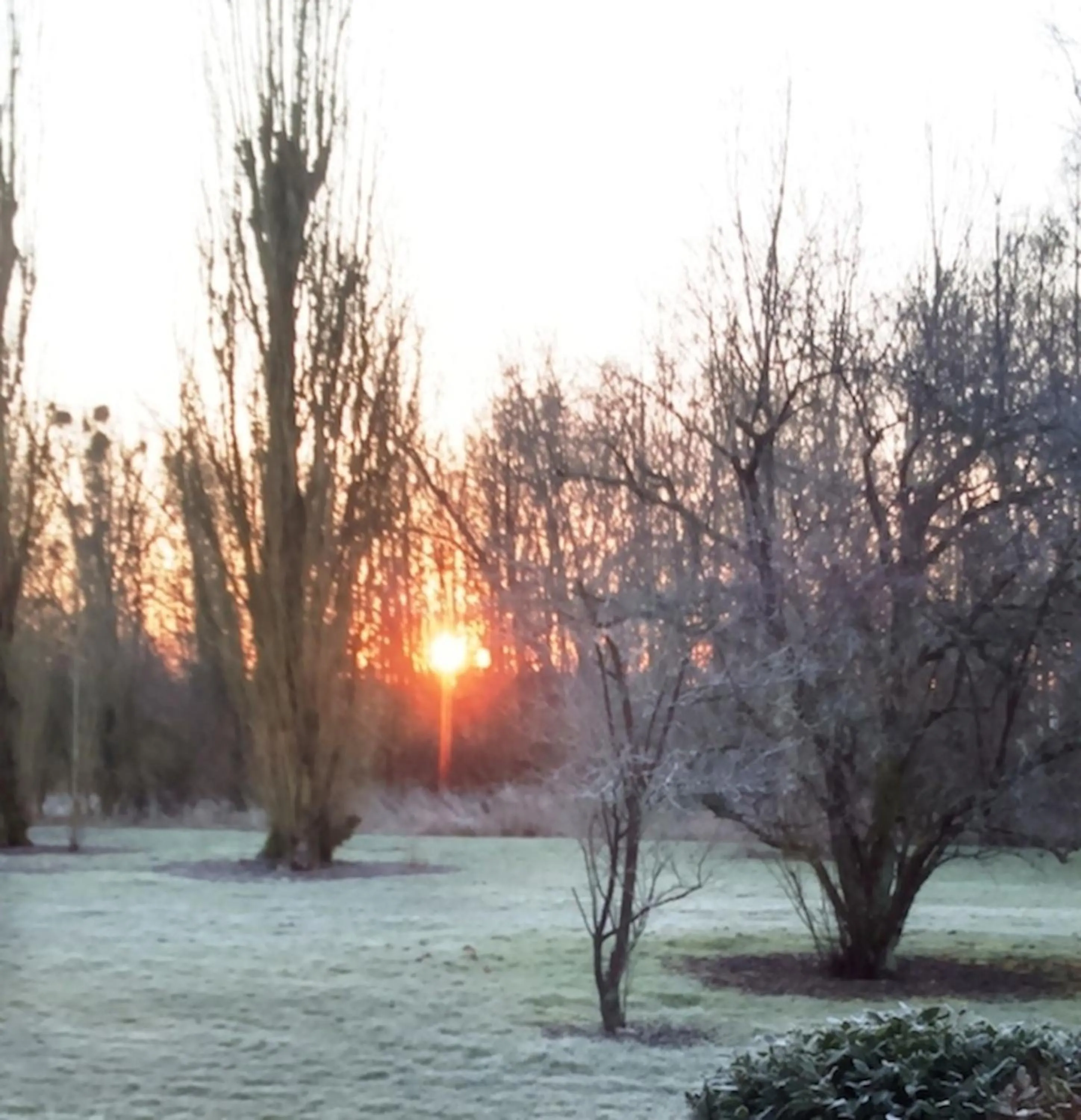 Natural landscape in Chambres D'hôtes Du Domaine De Jacquelin