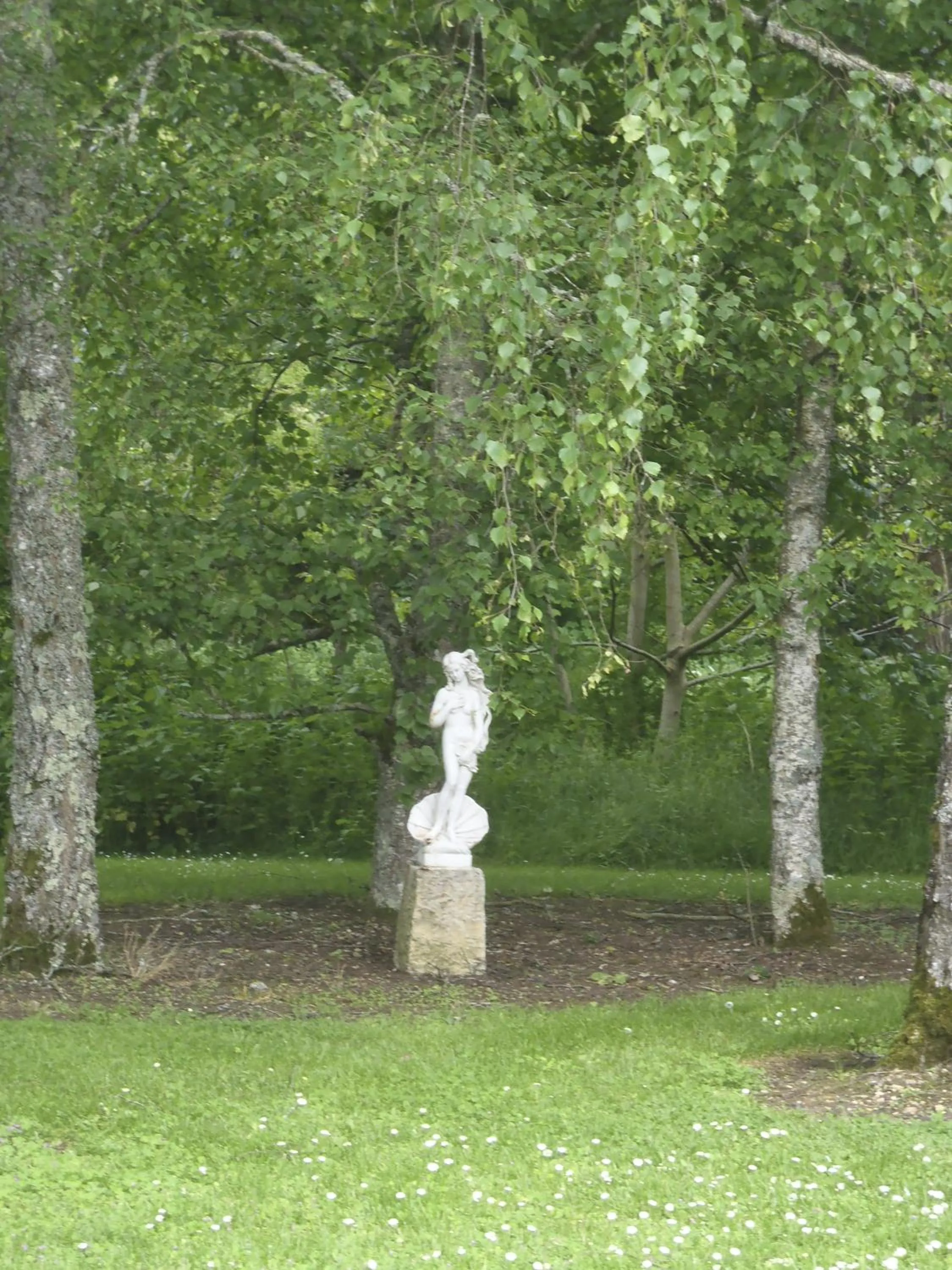 Garden in Chambres D'hôtes Du Domaine De Jacquelin