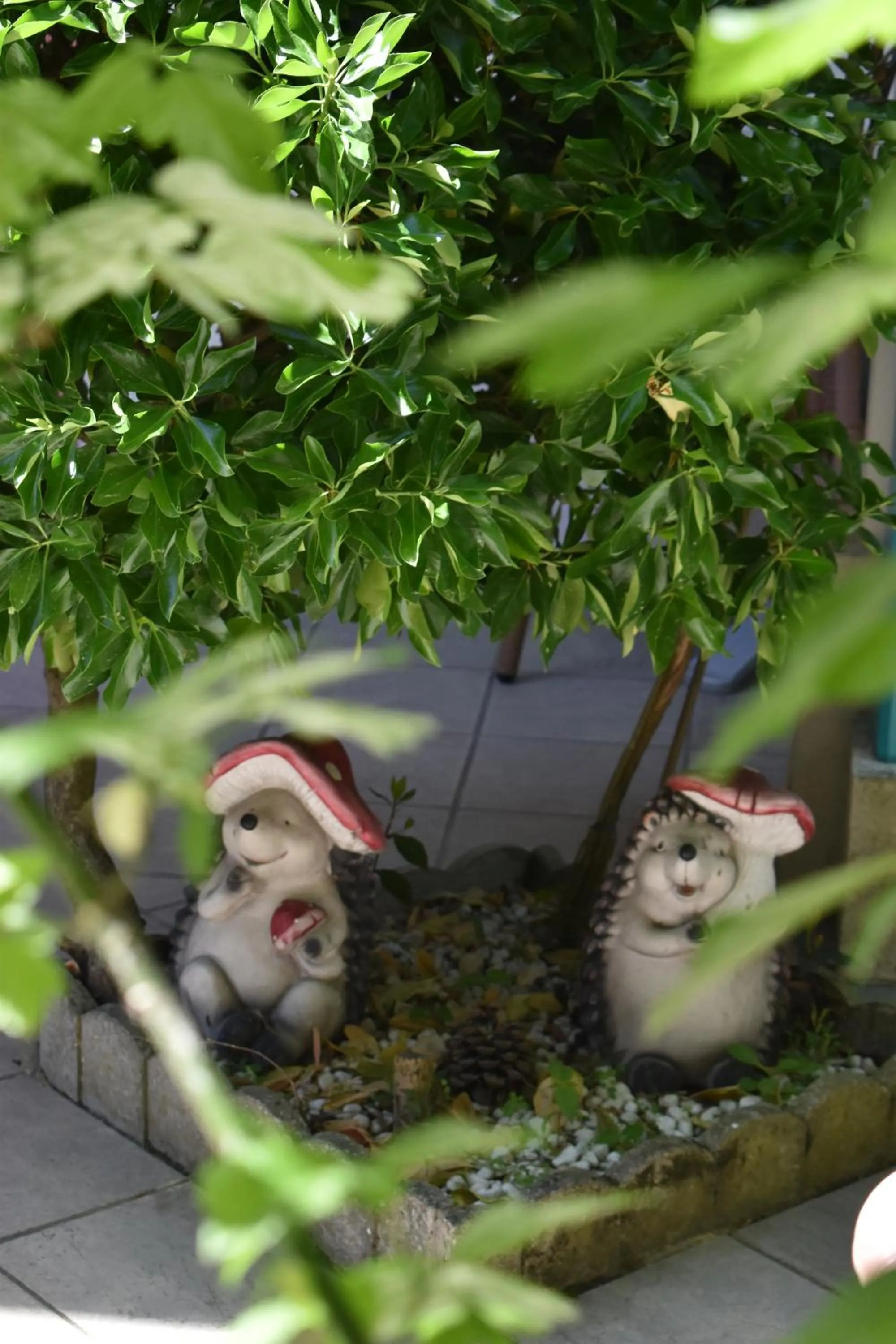 Patio in Hôtel Orange Marine