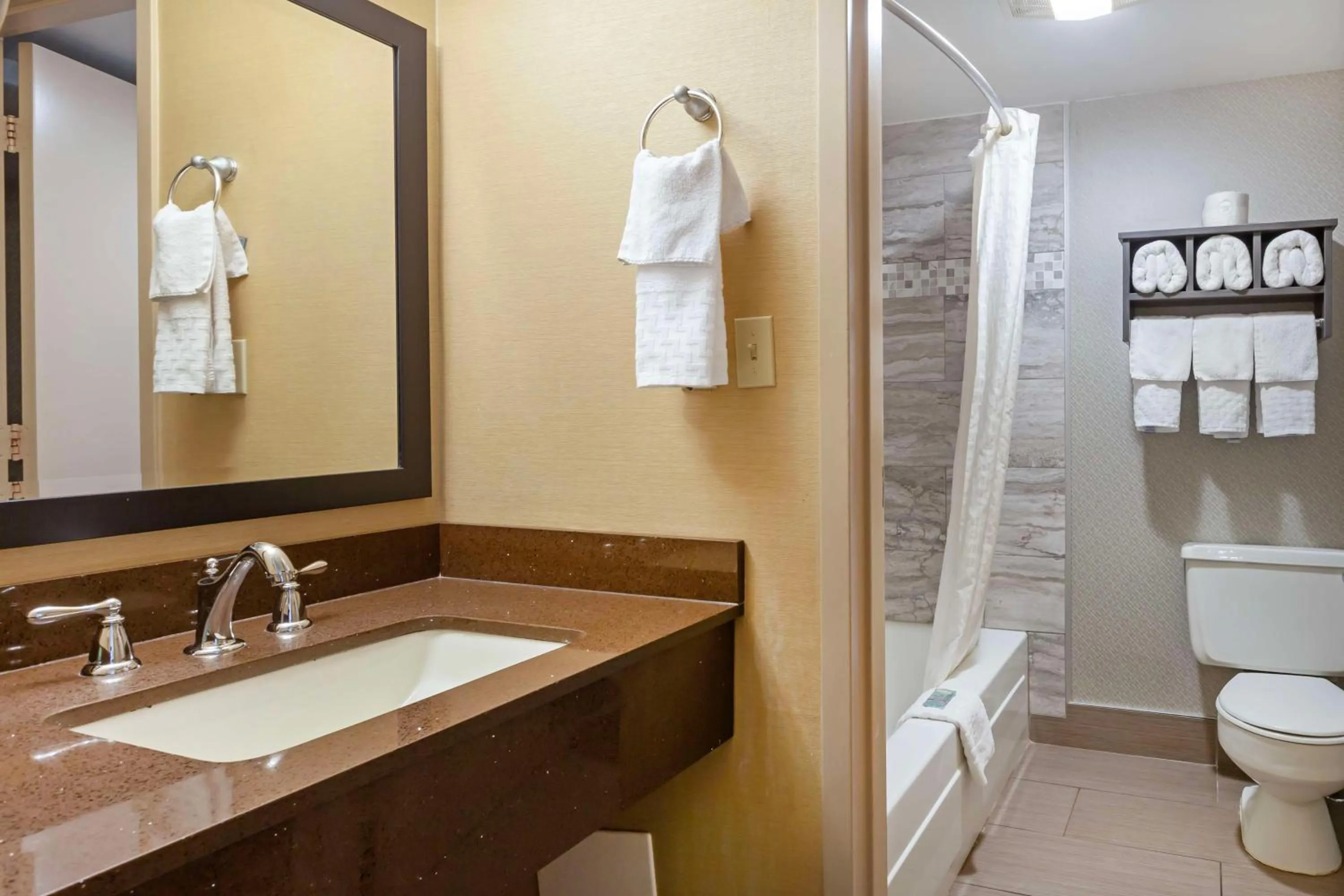 Bathroom in Best Western Summit Inn