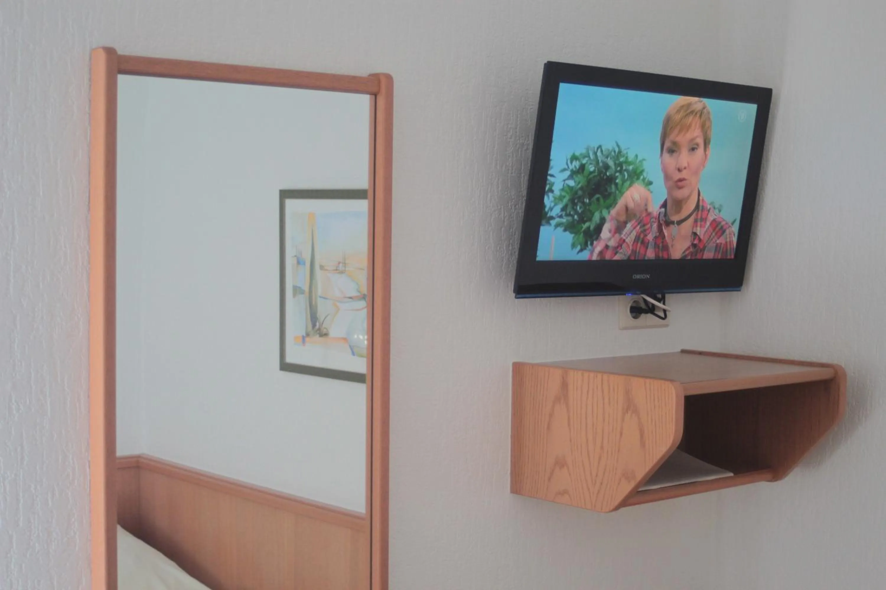 TV and multimedia in Akzent Hotel Hubertus