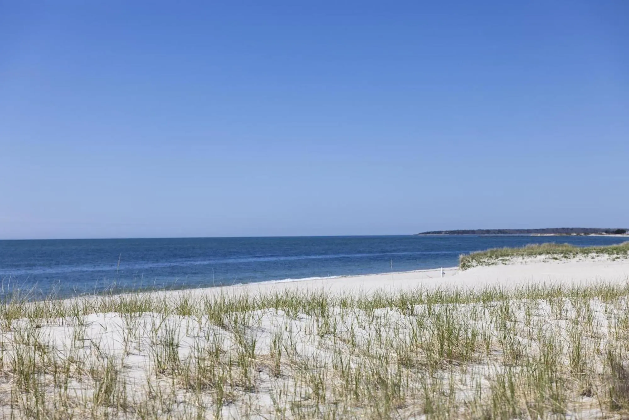 Beach in Red Jacket Beach Resort