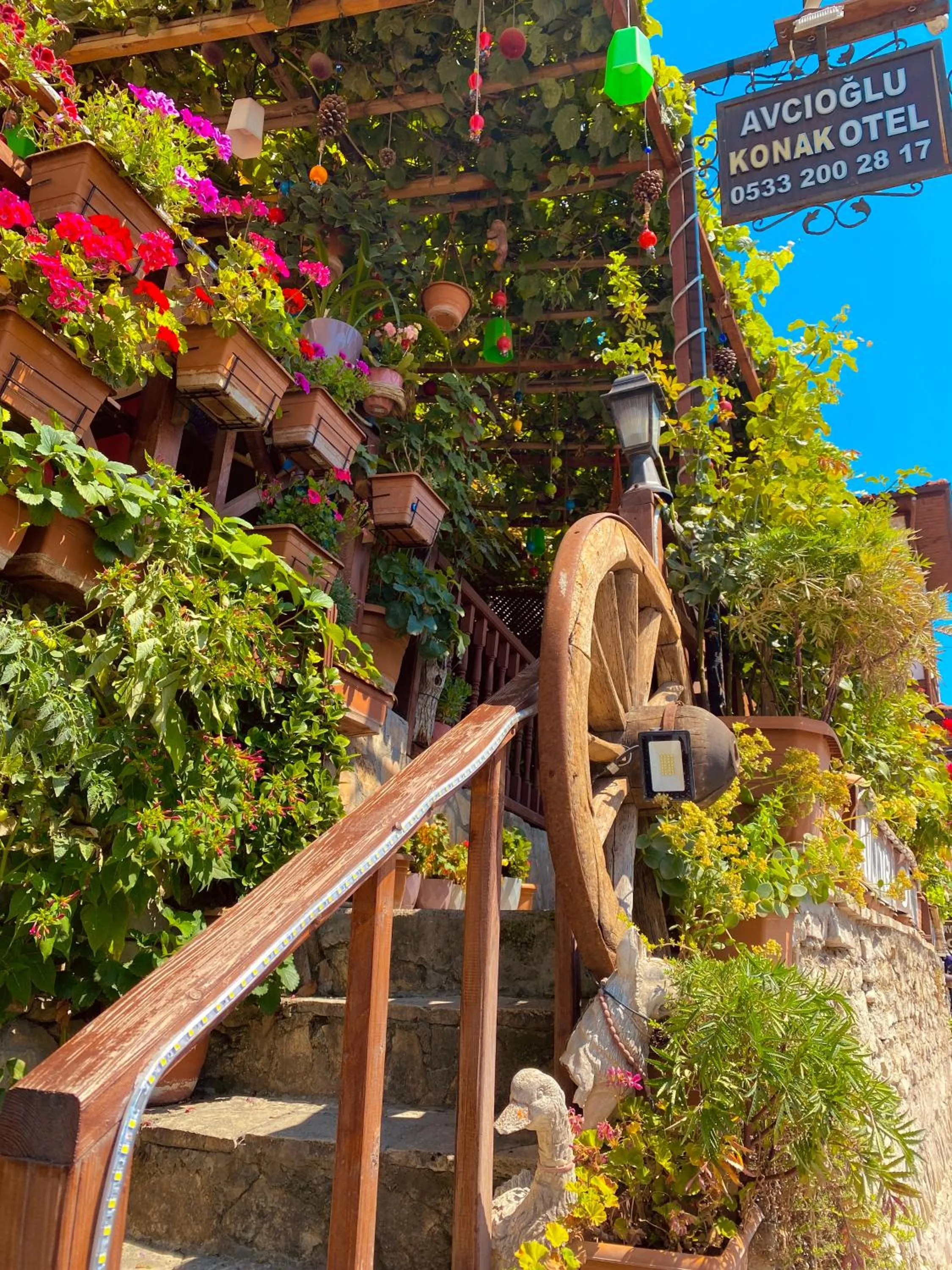 Garden in Avcıoğlu Konak Otel