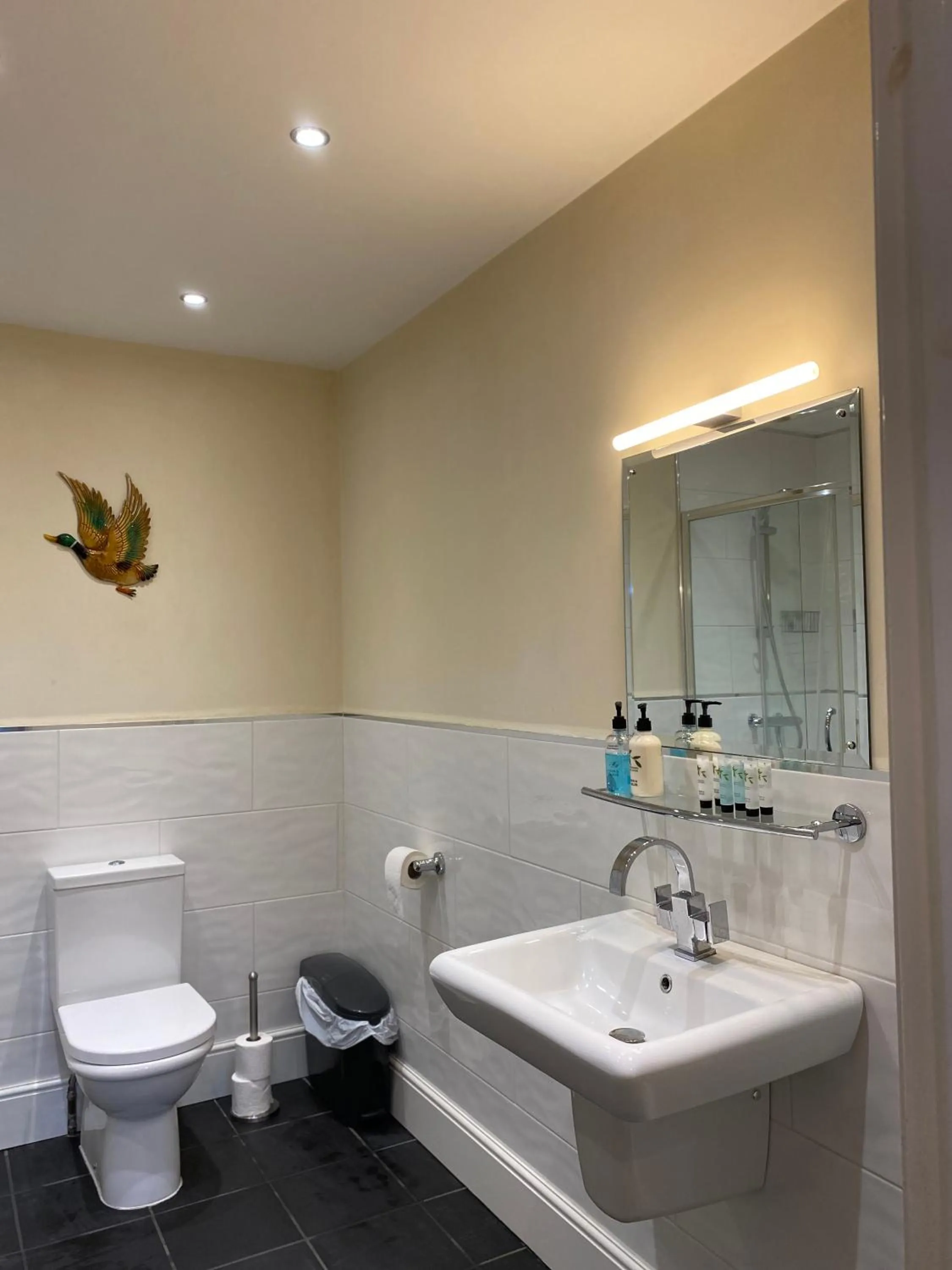 Bathroom in Woodhouse Farm Lodge