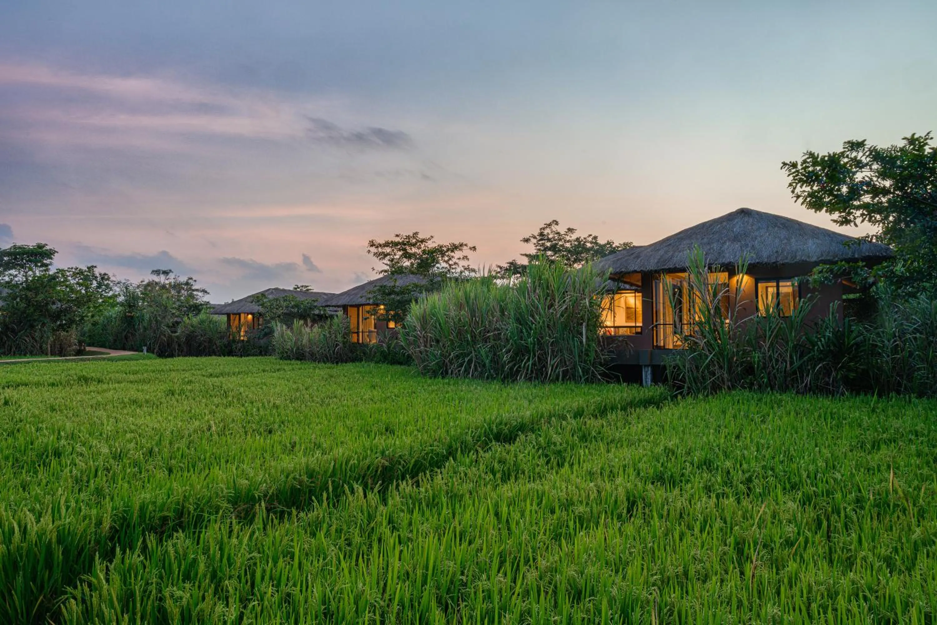 Garden view in Water Garden Sigiriya