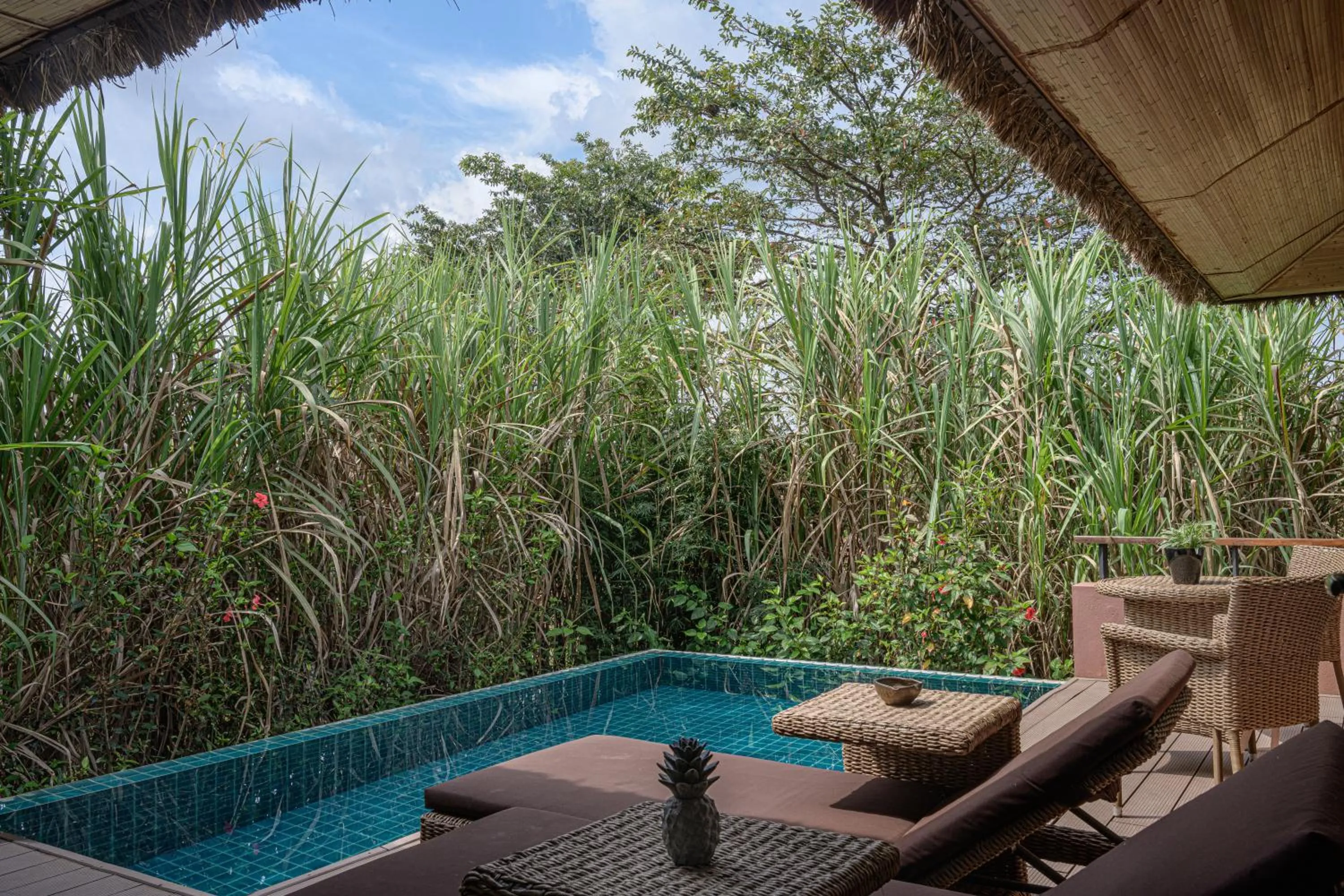 Swimming pool in Water Garden Sigiriya