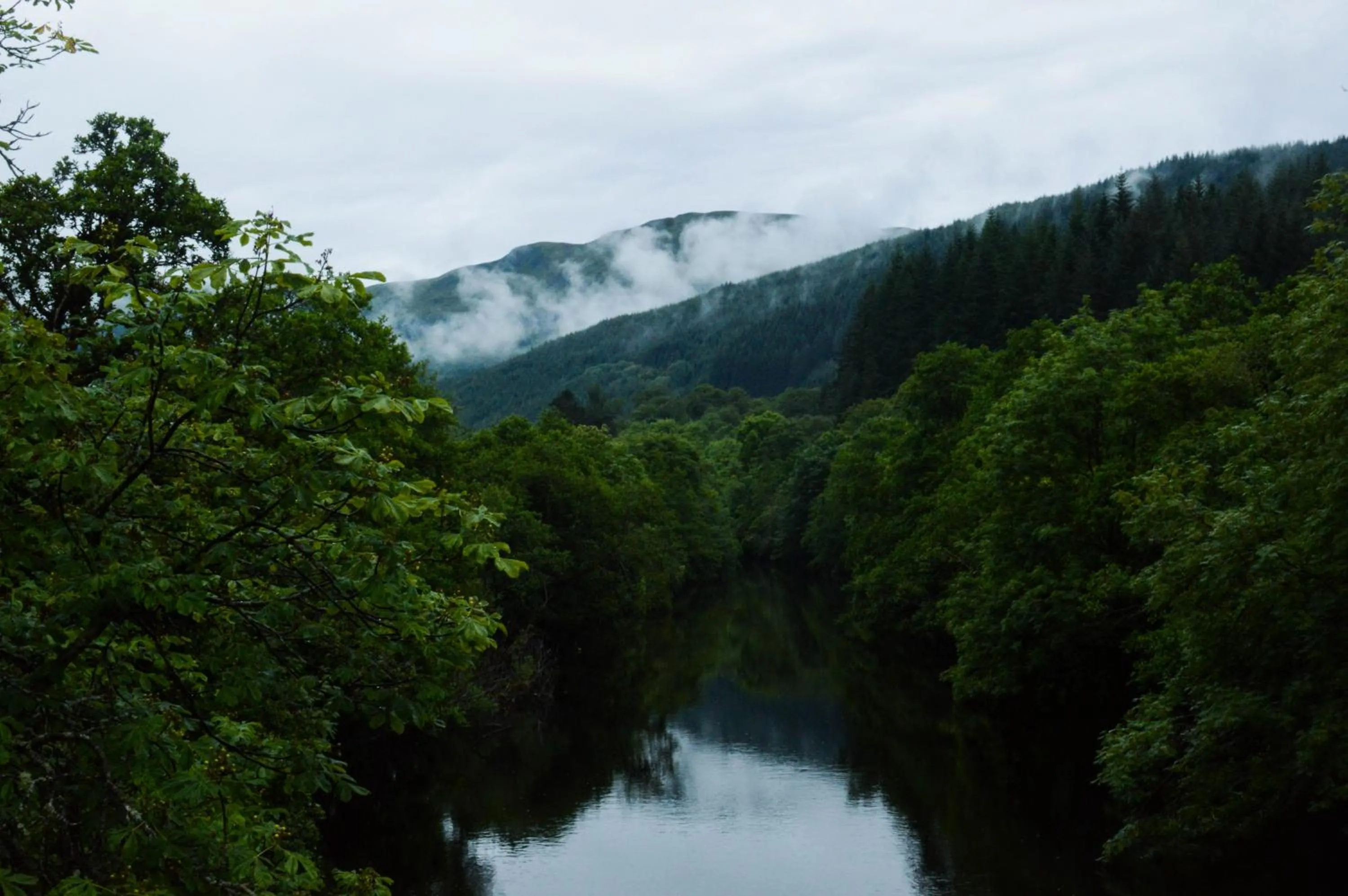 Natural landscape in The Ben Sheann