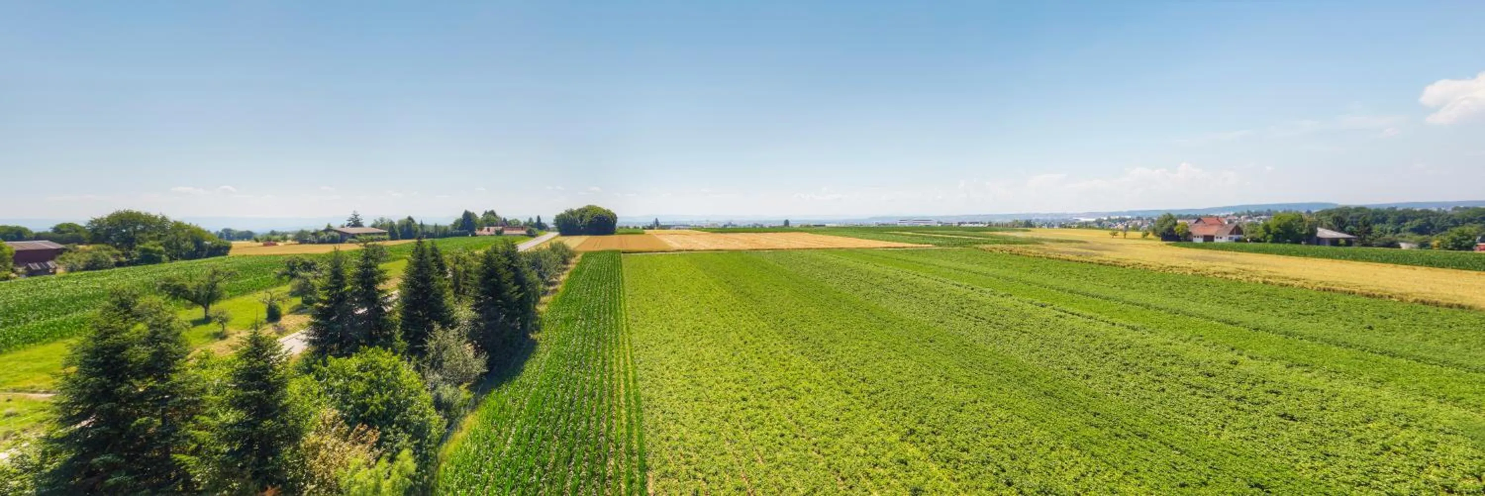 Natural landscape in Kemnater Hof Apartments