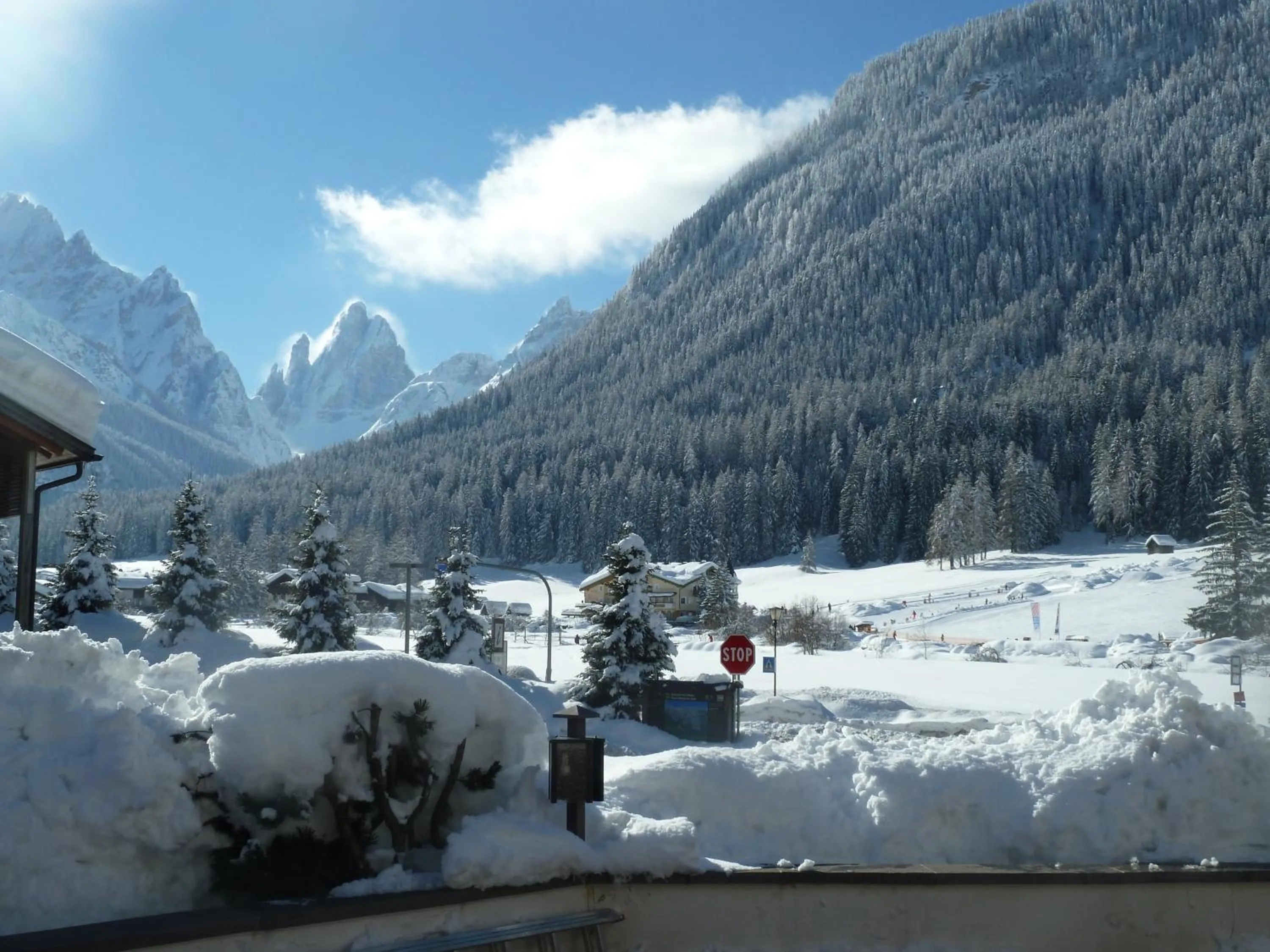 Natural landscape in Apartments Riega