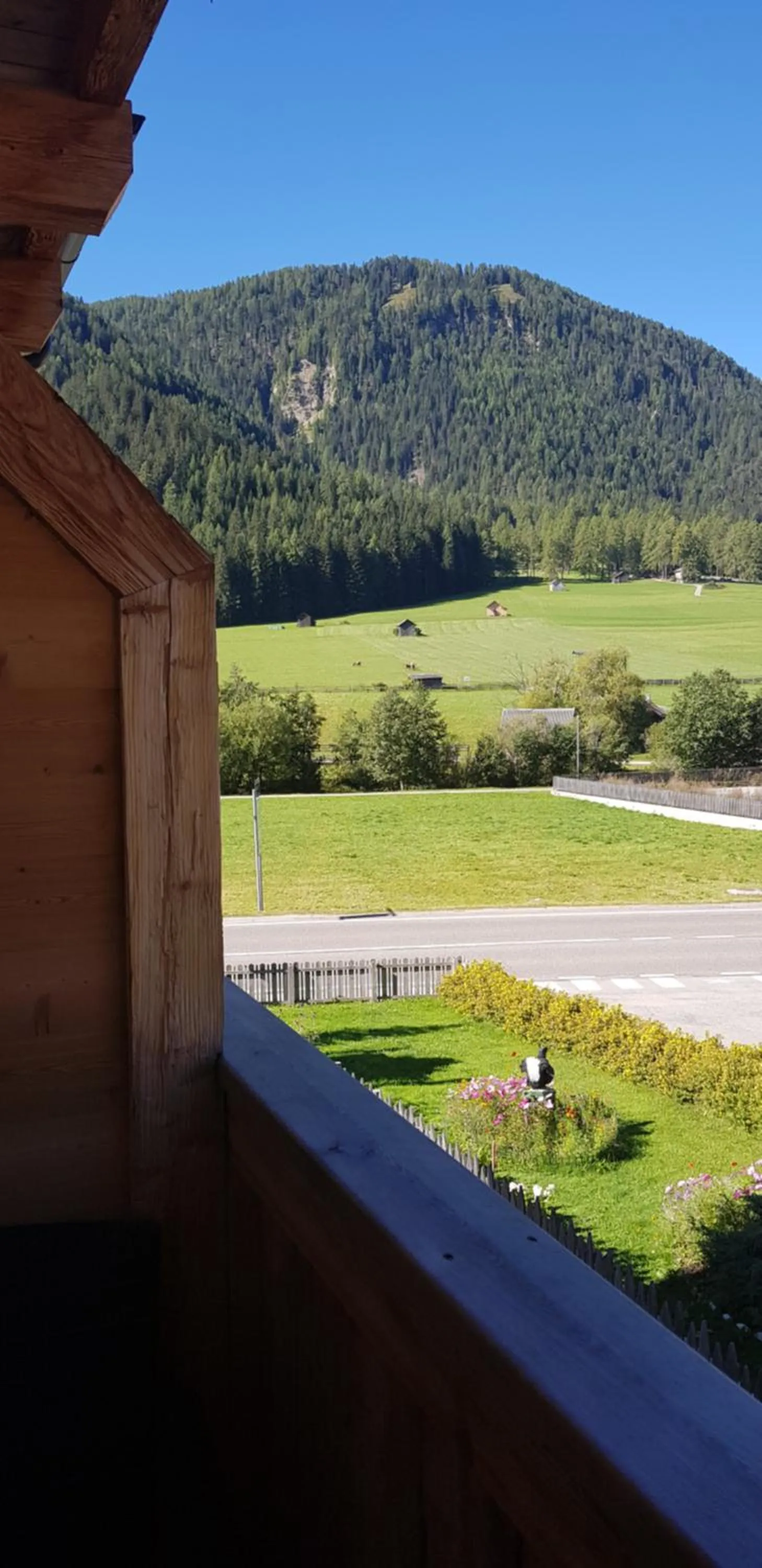 View (from property/room) in Apartments Riega