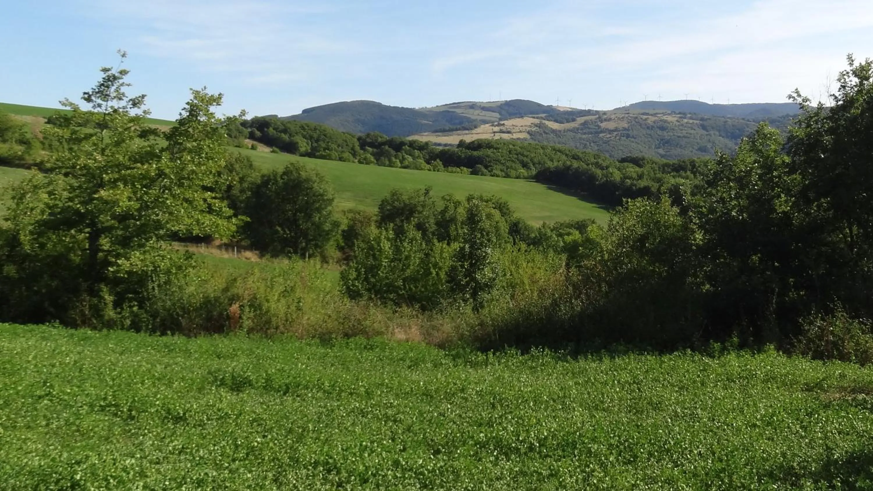 Mountain view in Les Hauts de Camarès
