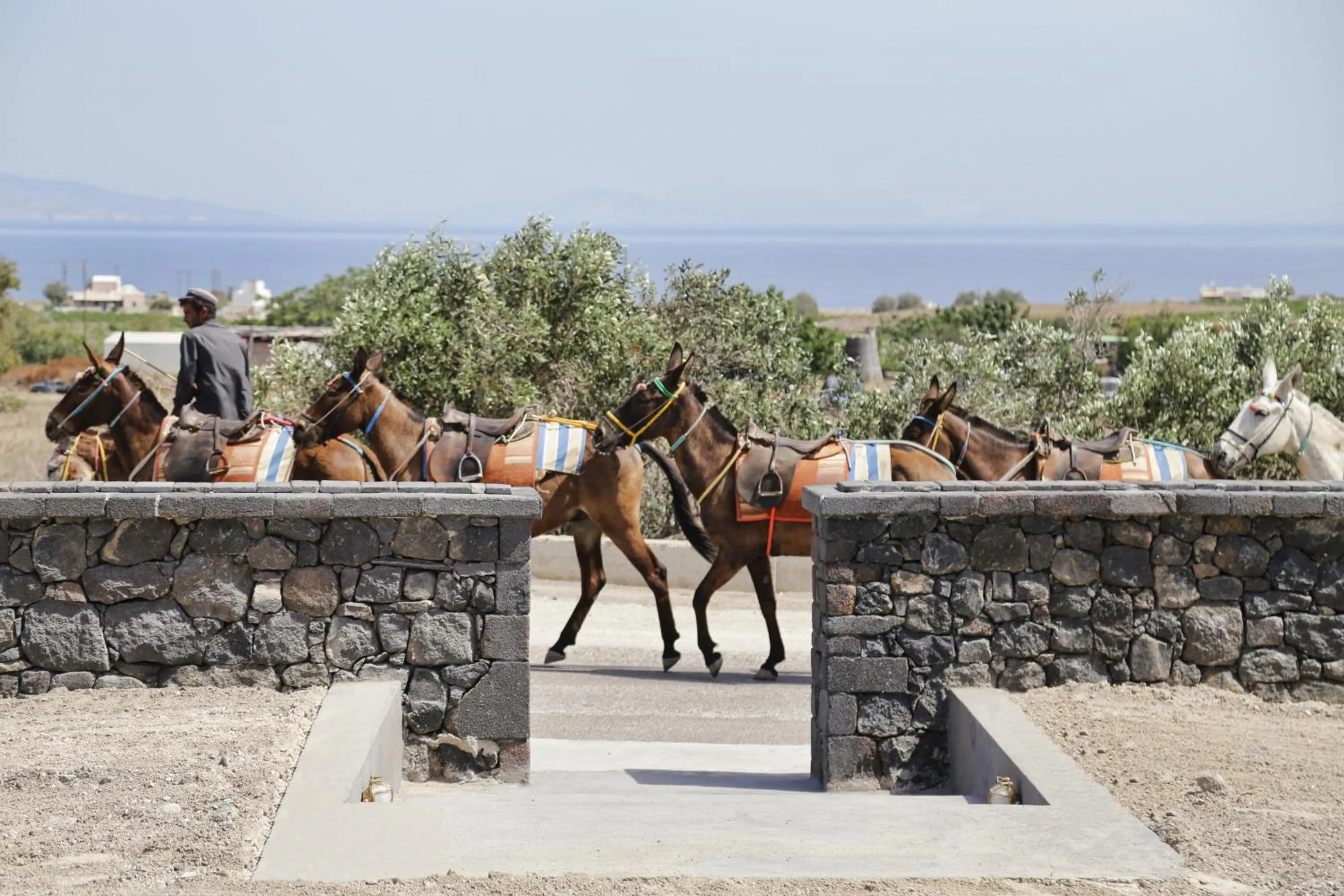 Facade/entrance in Vino Houses Santorini