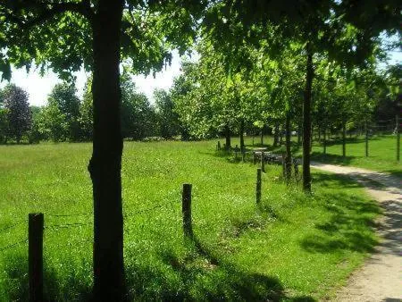 Area and facilities in Hotel Tanneneck