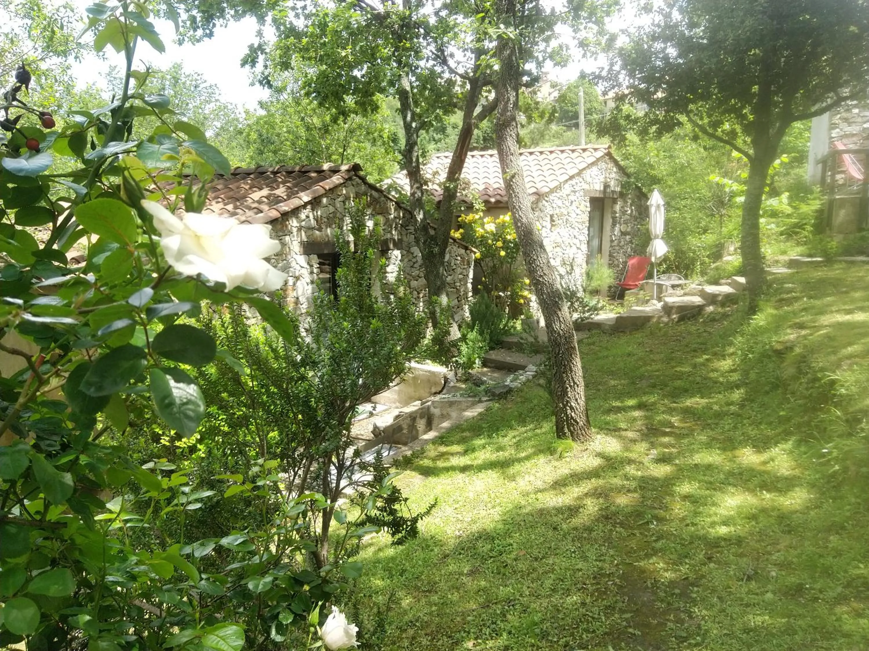 Garden in Villa Praesidio