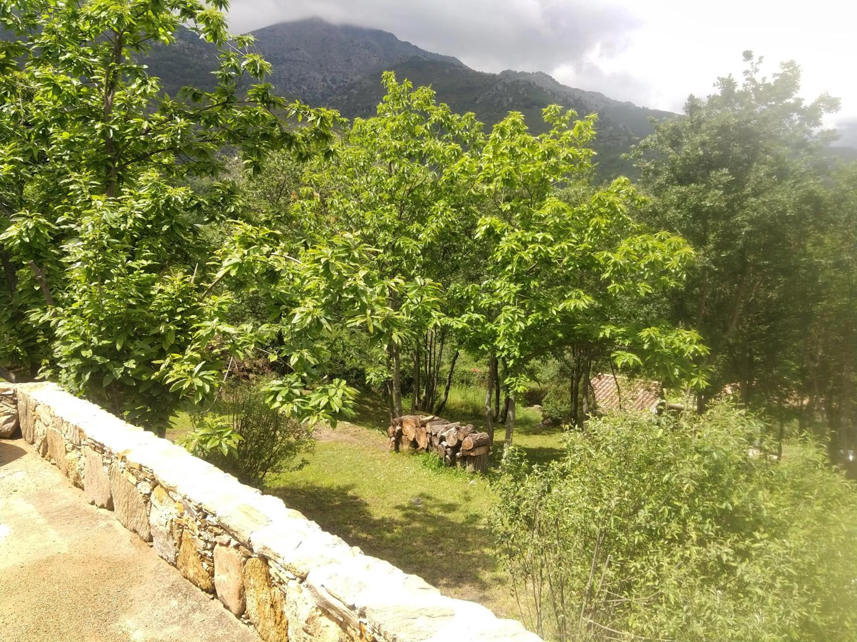 Property building in Villa Praesidio