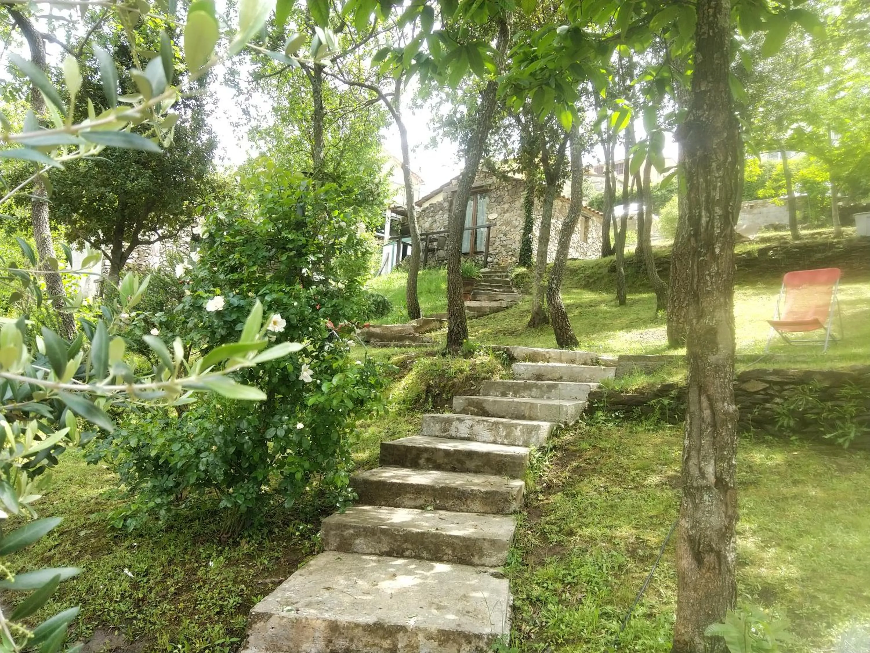 Garden in Villa Praesidio