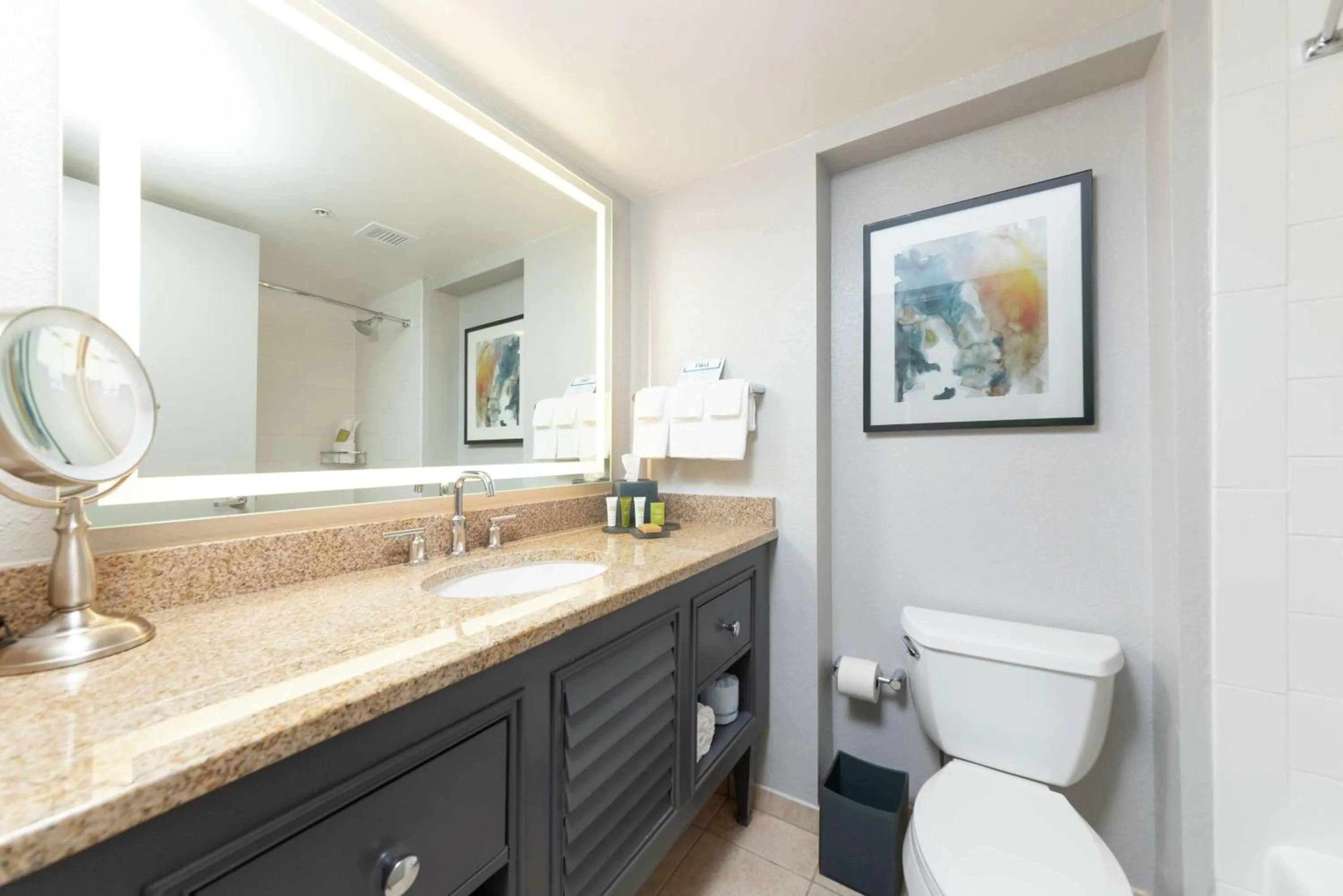 Bathroom in Hilton Melbourne Beach Oceanfront