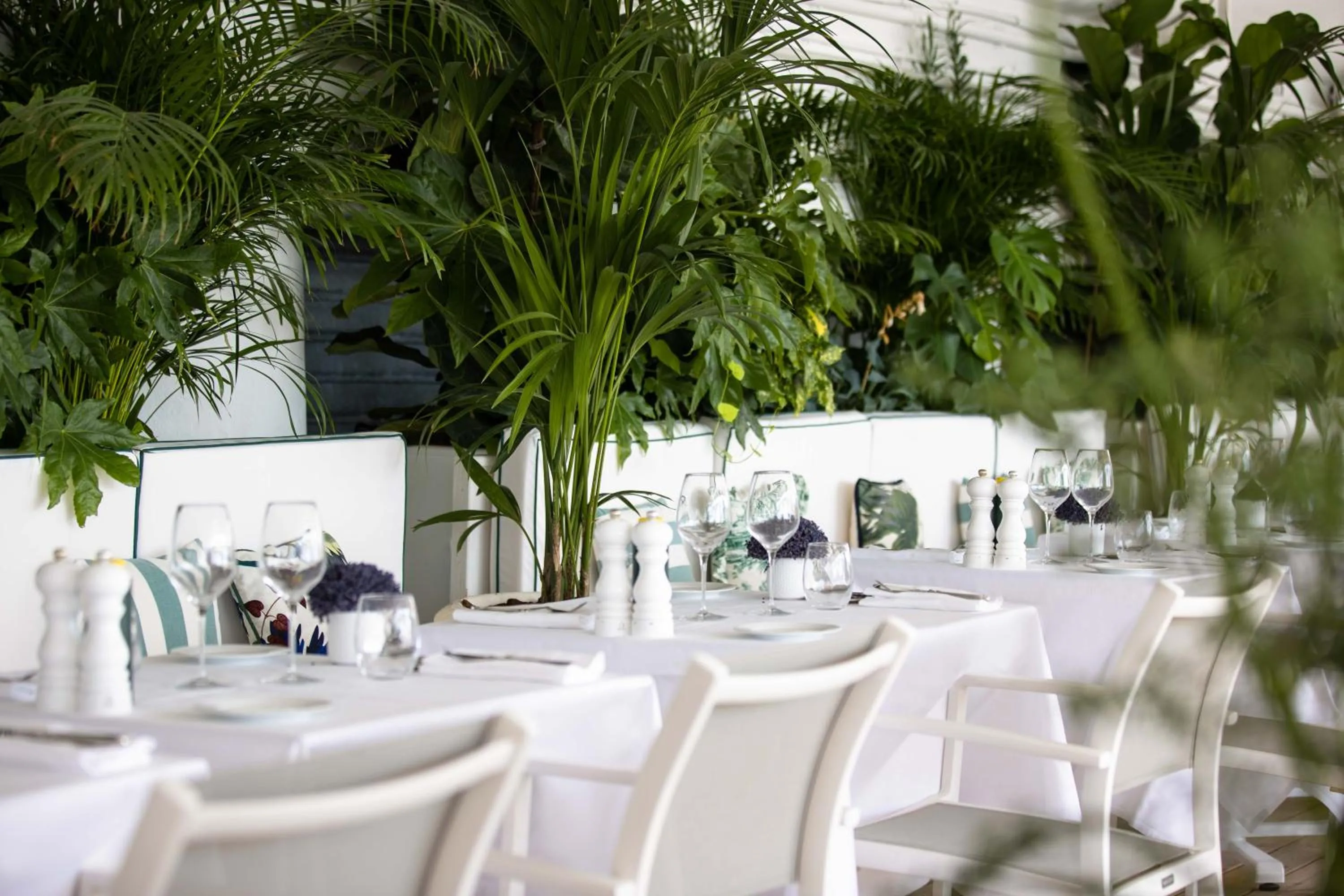 Restaurant/places to eat in Hotel Le Negresco