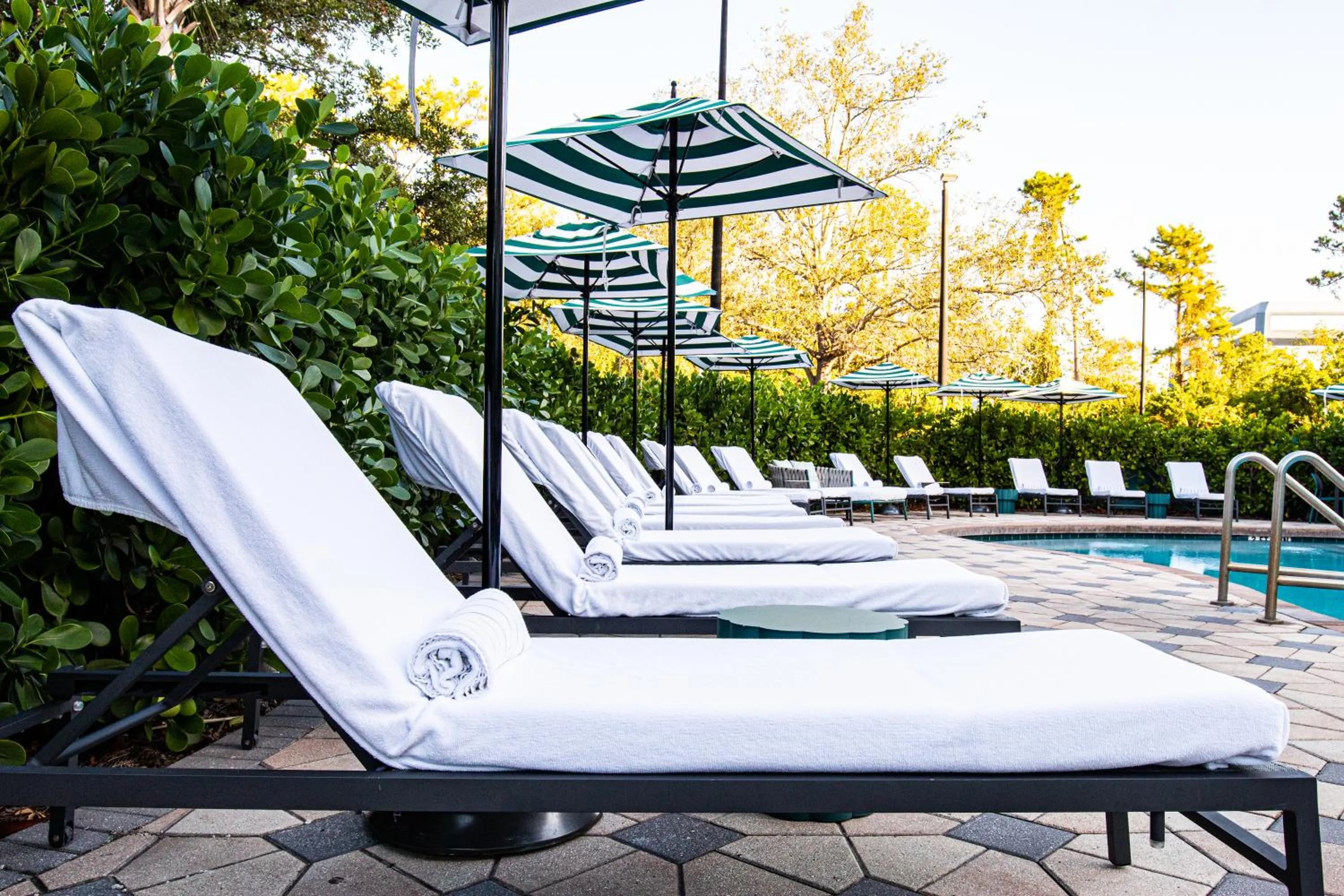 sunbed in Hotel Landy Orlando Universal Blvd, a Tribute Portfolio Hotel